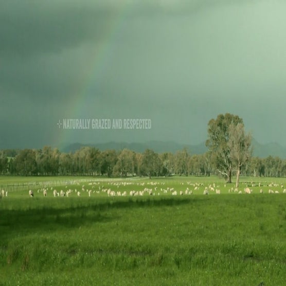 Play Product Video 1