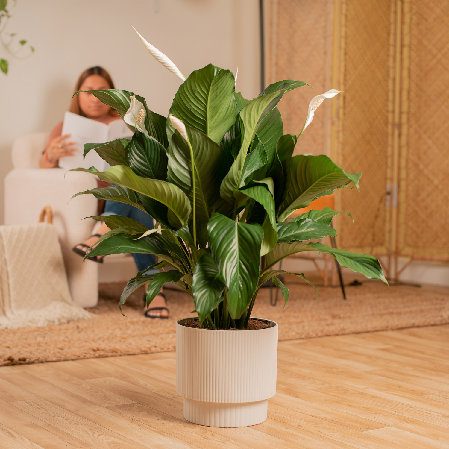 Enlarge Product Preview 3 Successfully Enriched by automation Job.