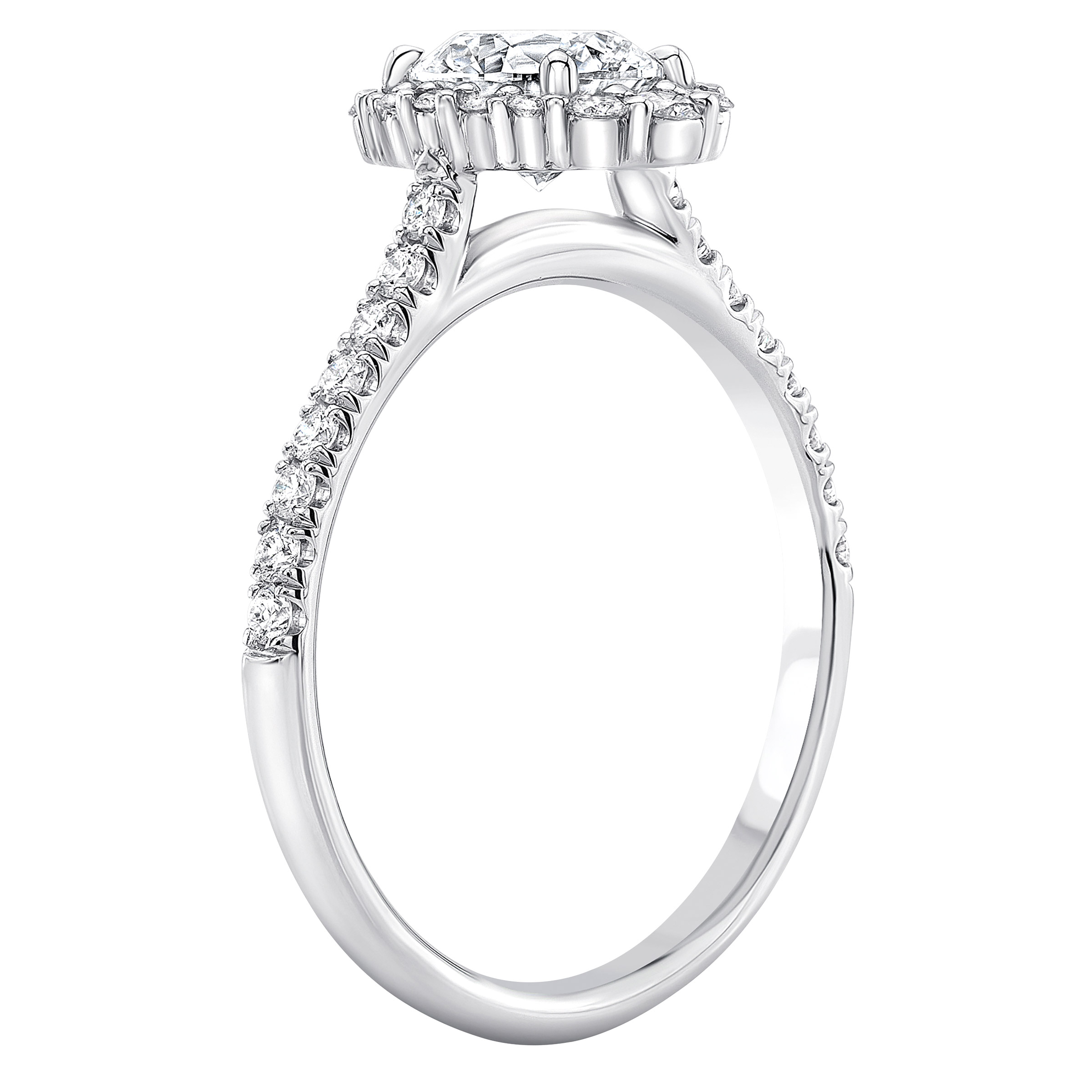 Enlarge Product Preview 2