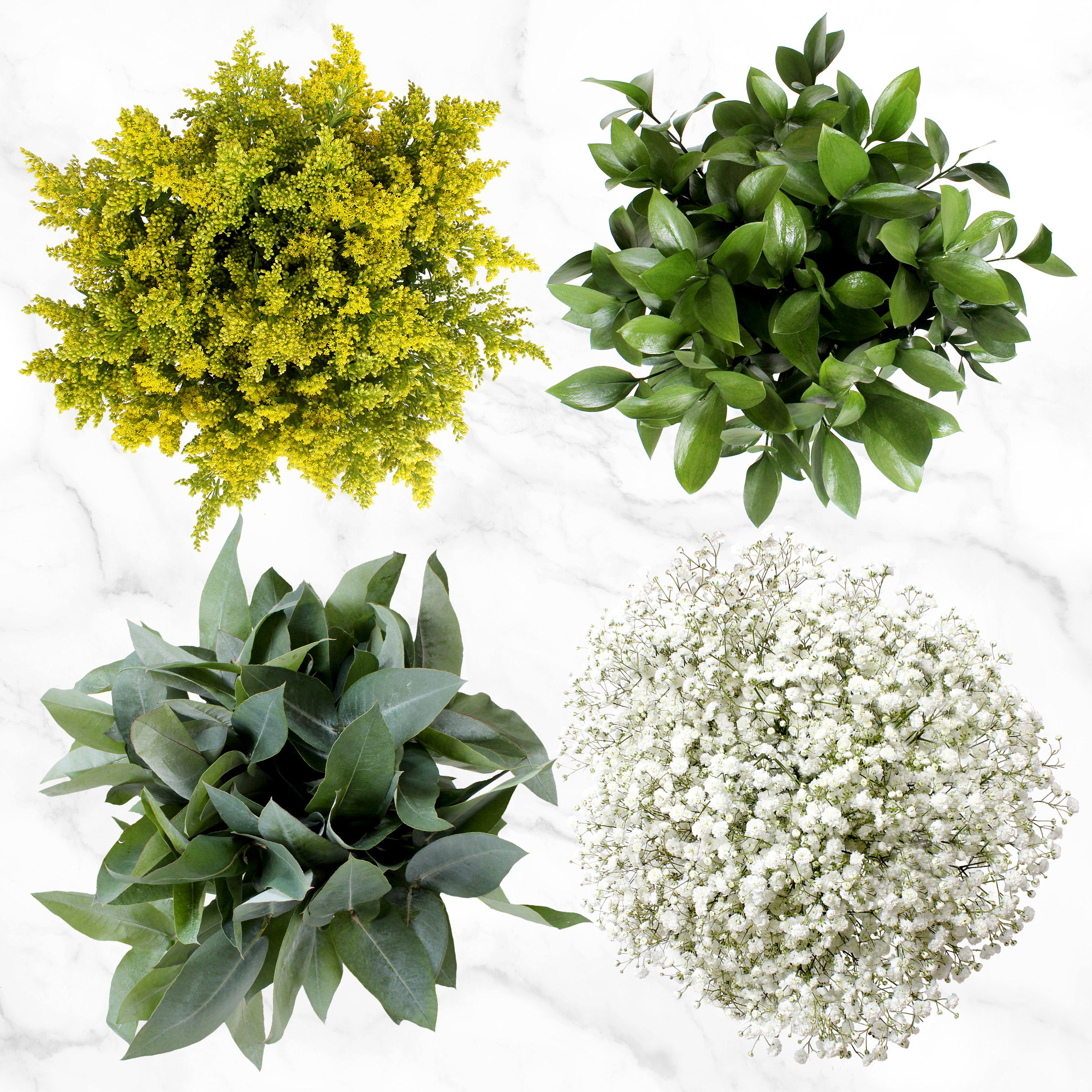 100-stem Fillers and Greens