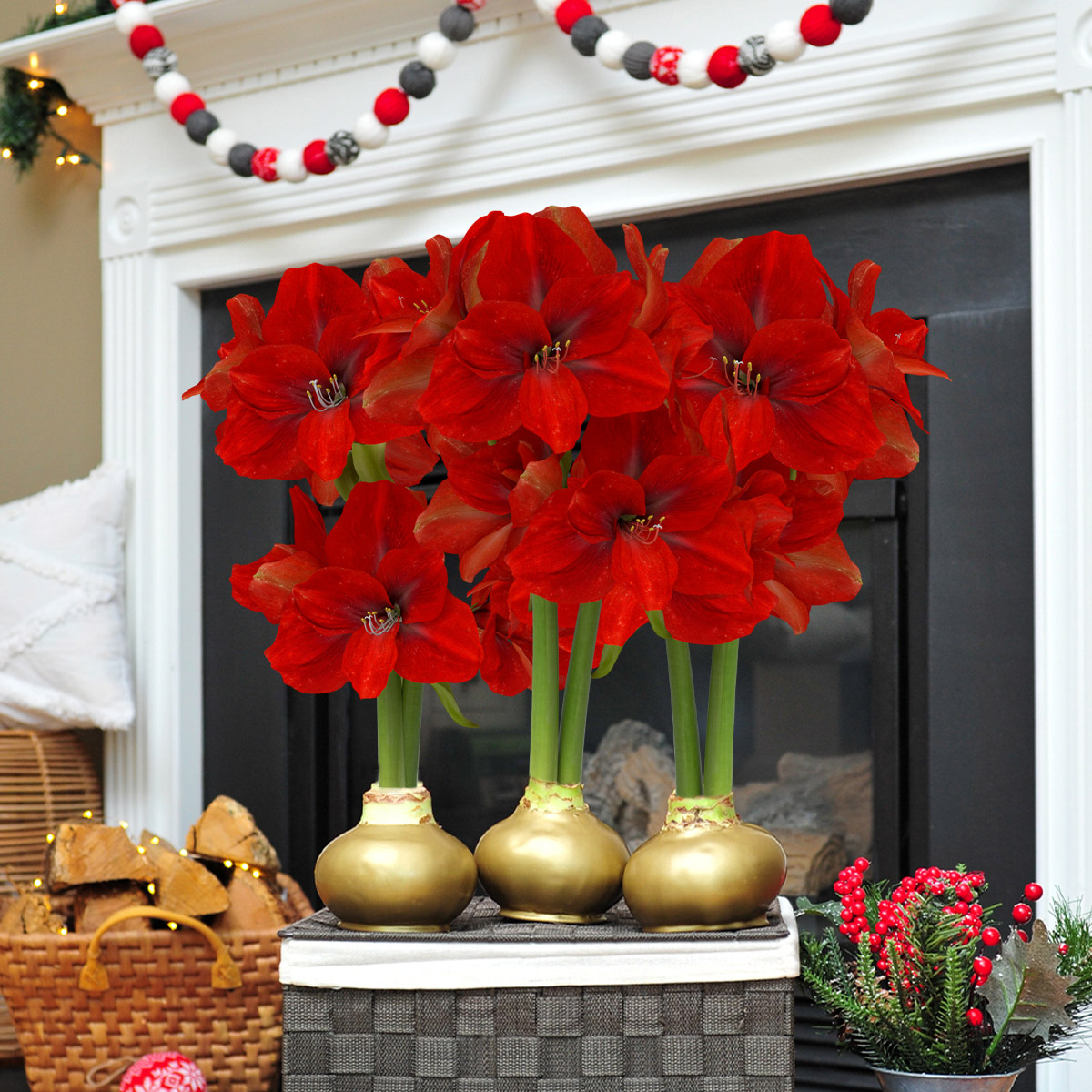 Enlarge Product Preview 6