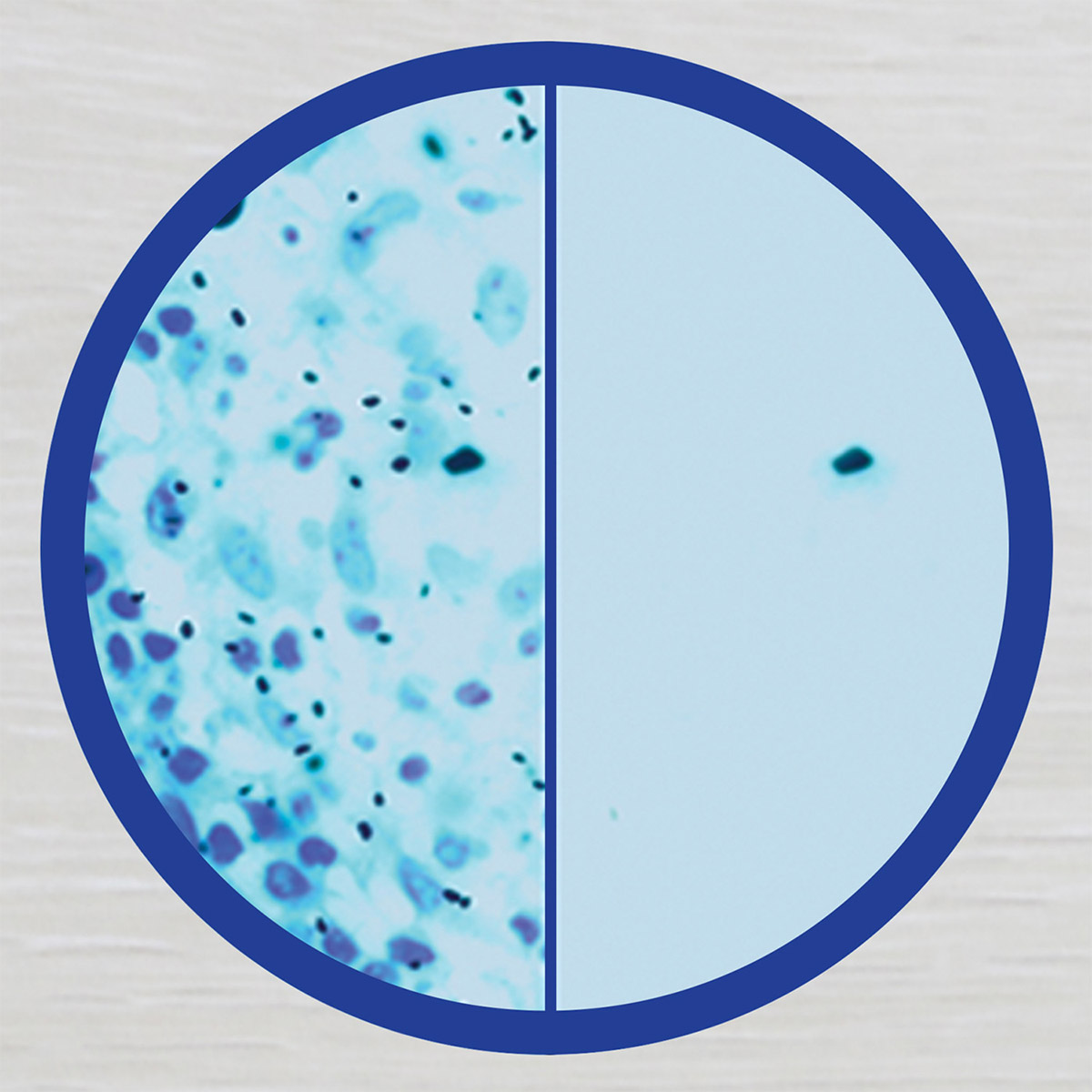 Enlarge Product Preview 2