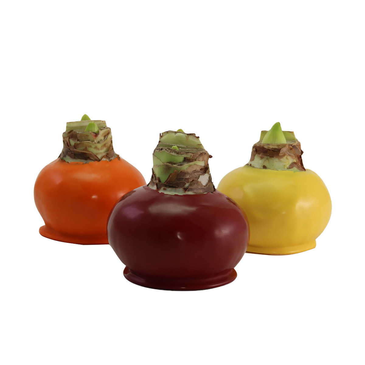 Enlarge Product Preview 2