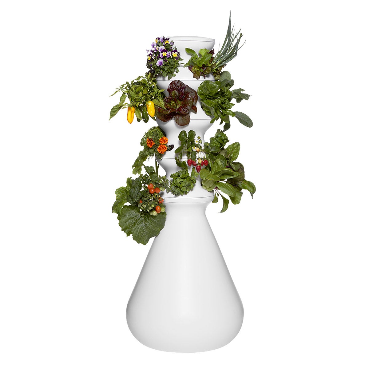 Lettuce Grow Outdoor Farmstand with Plants