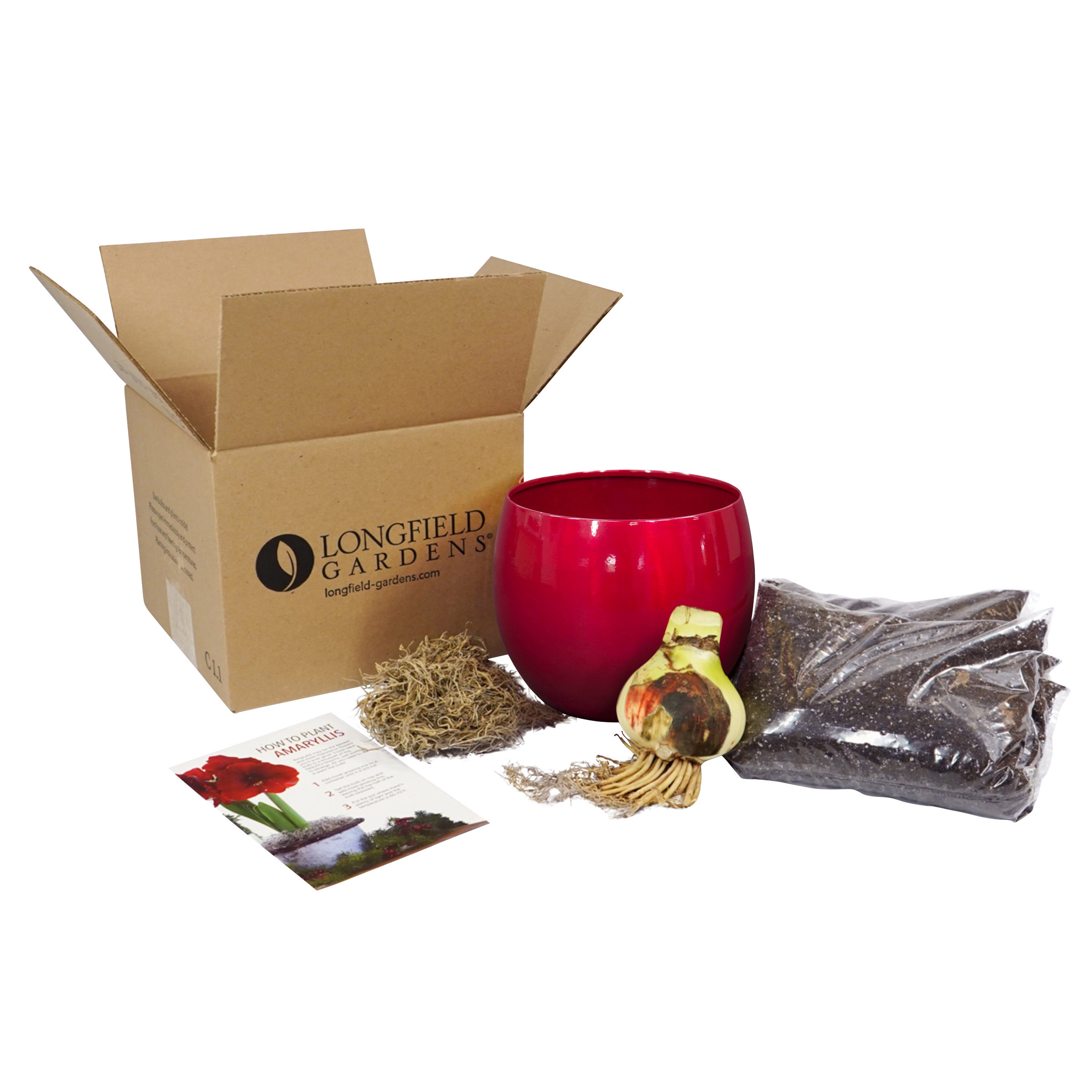 Enlarge Product Preview 5 Successfully Enriched by automation Job.