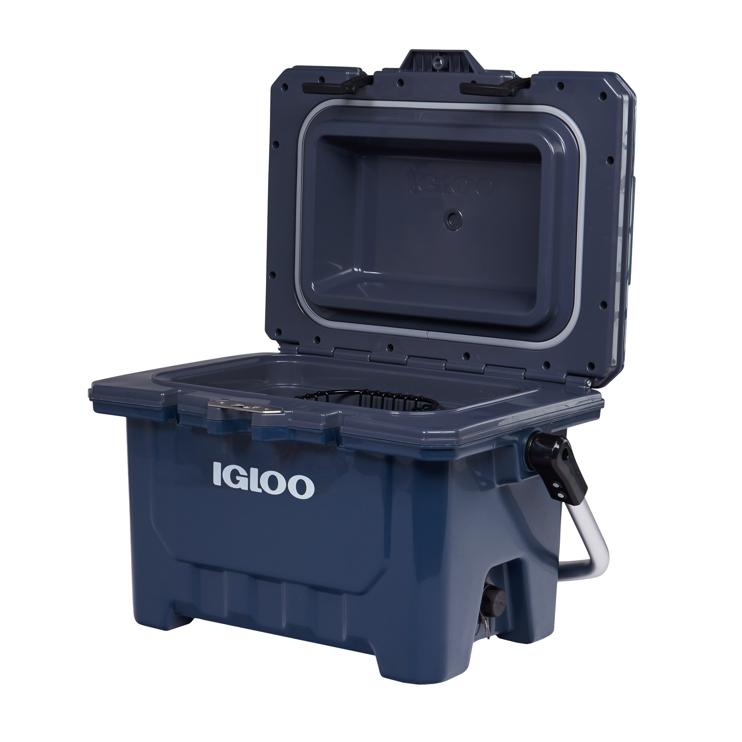 Enlarge Product Preview 3 Successfully Enriched by automation Job.