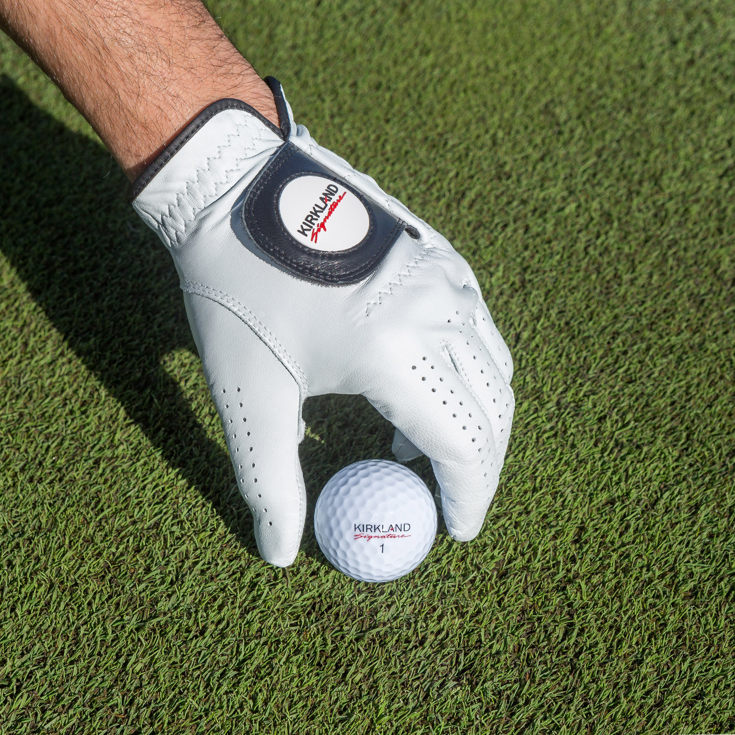 Enlarge Product Preview 7