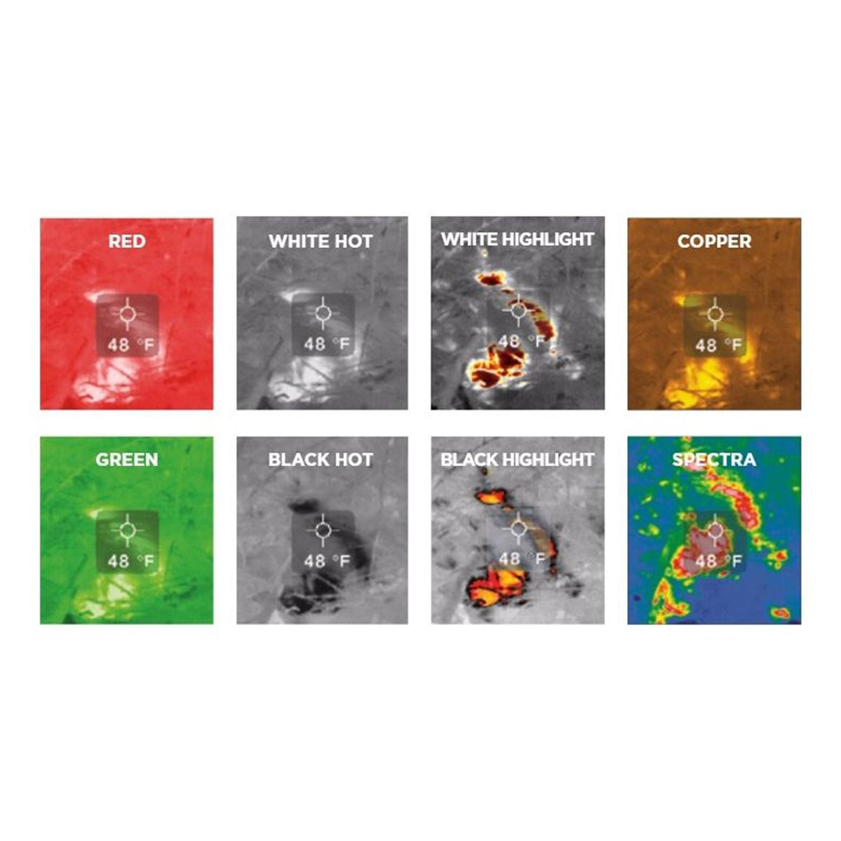 Enlarge Product Preview 4