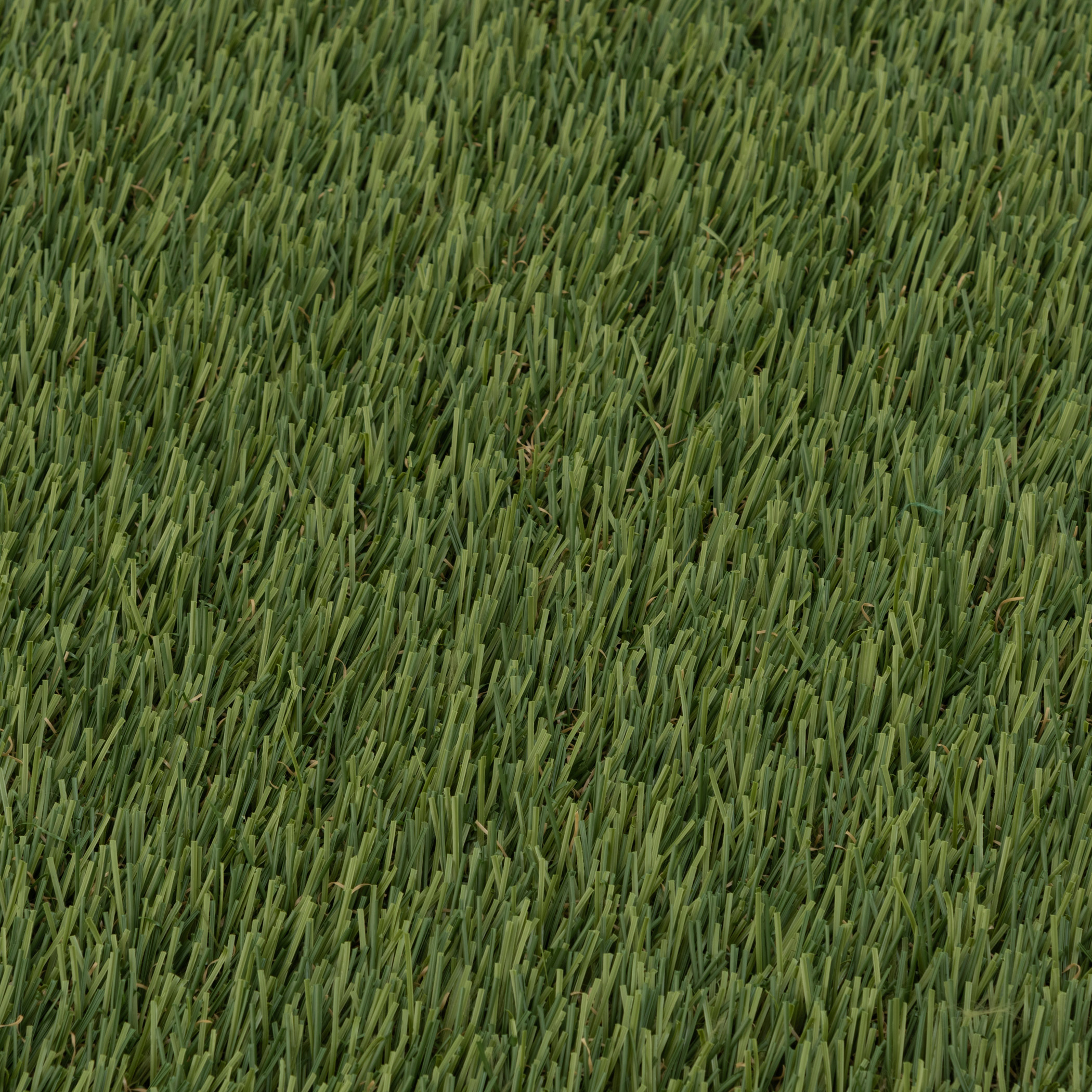 Enlarge Product Preview 4 Successfully Enriched by automation Job.