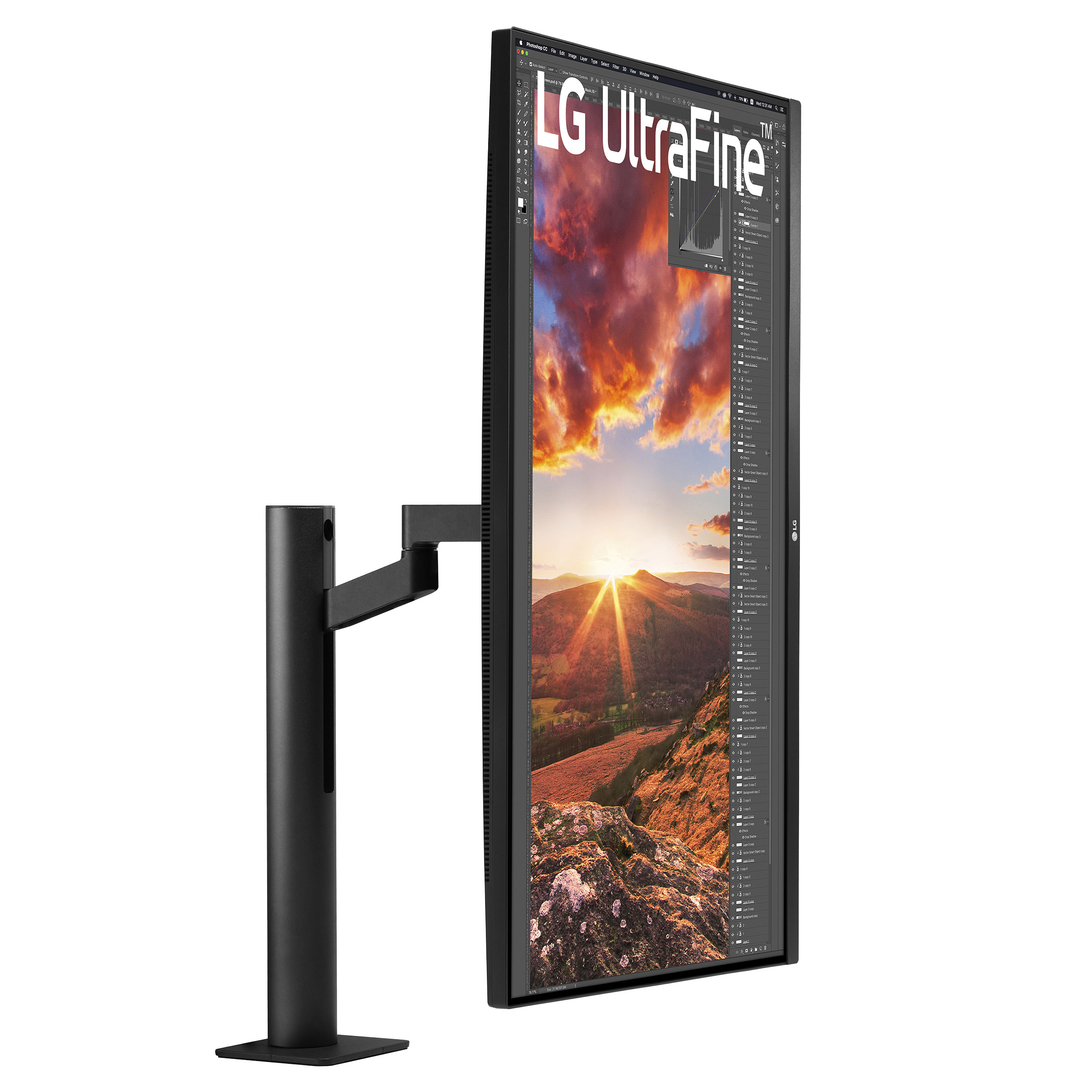 LG UltraFine 31,5 in. UHD 4K Monitor (3840 x 2160) | Costco