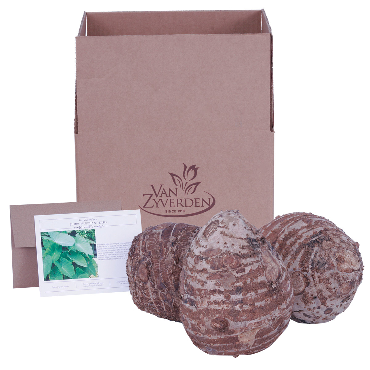 Enlarge Product Preview 7