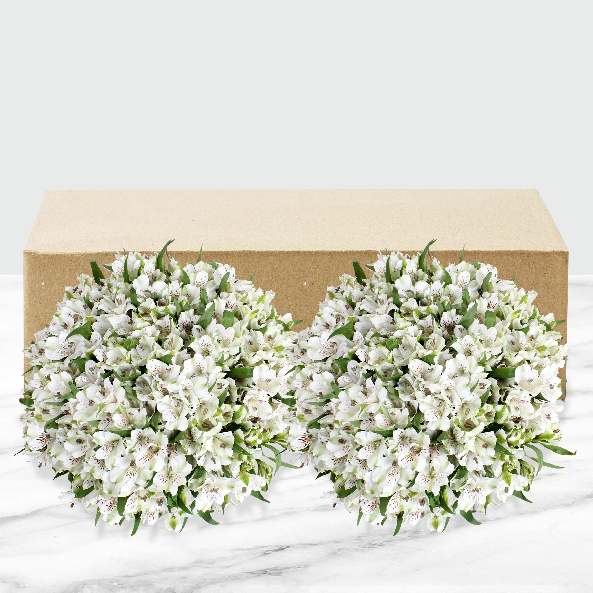 Enlarge Product Preview 2