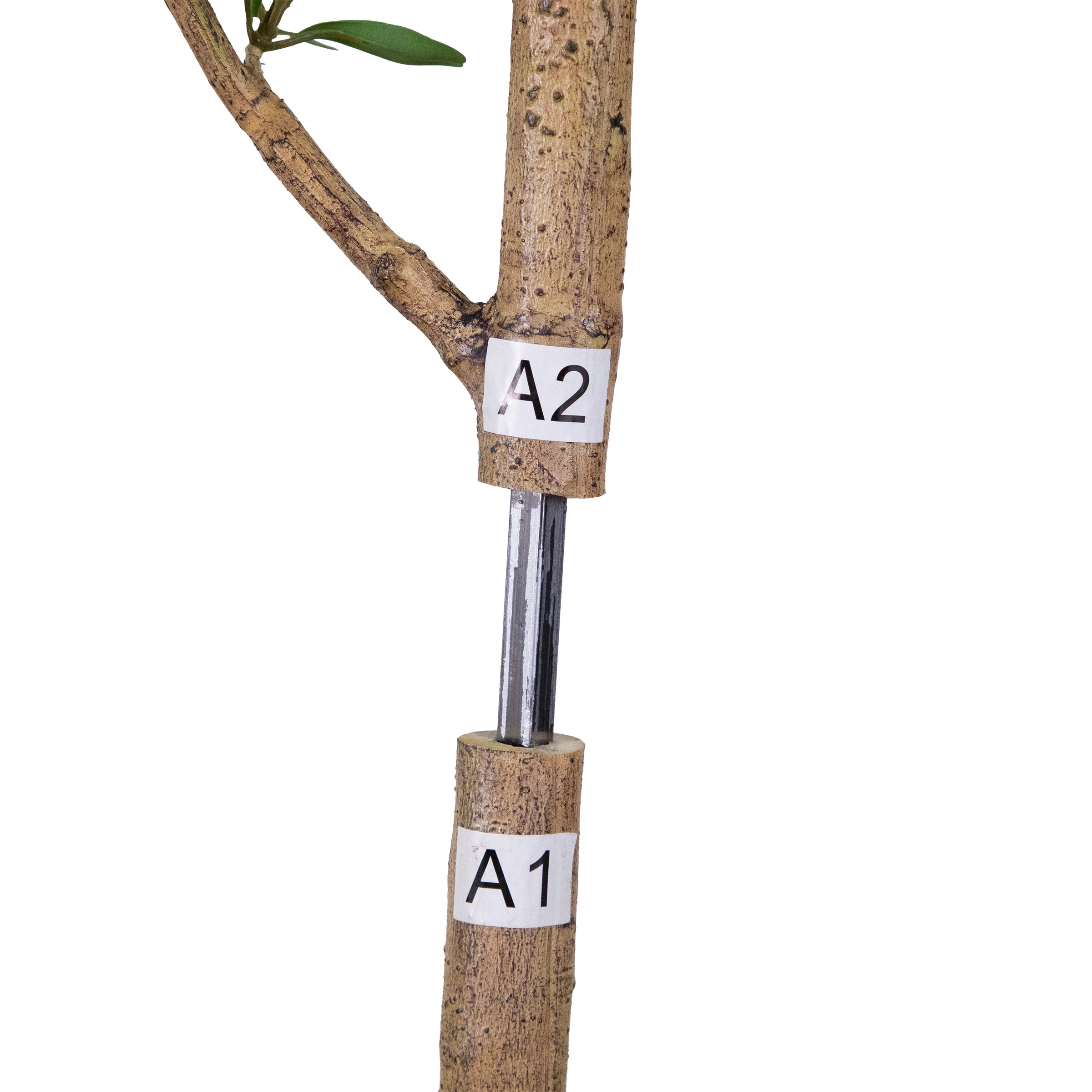 Enlarge Product Preview 7 Successfully Enriched by automation Job.