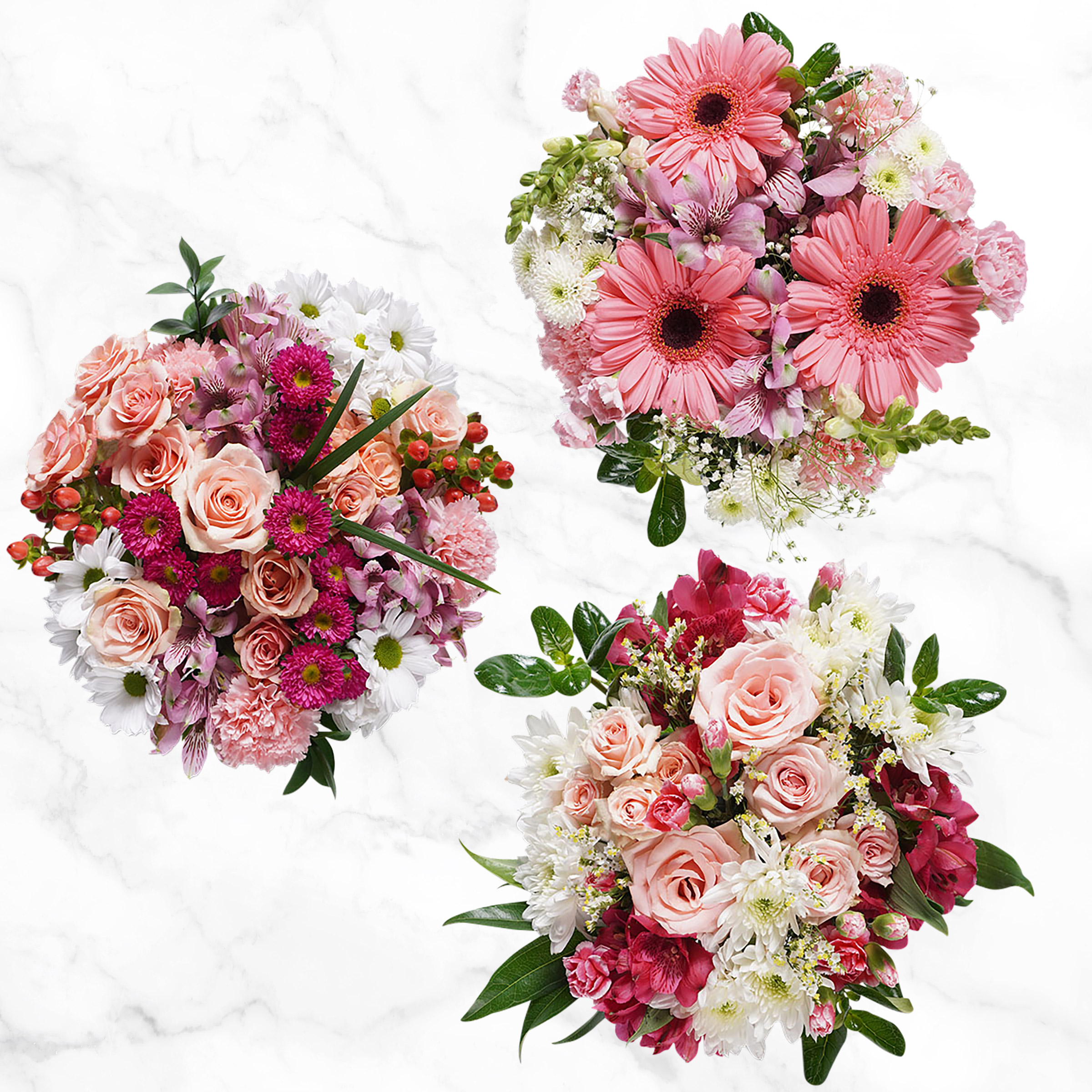 Mountain Bouquet Event Collection  10-count