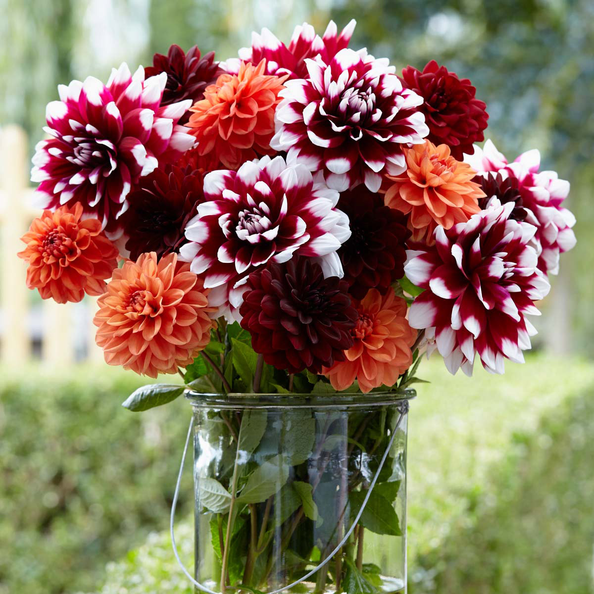 Enlarge Product Preview 2