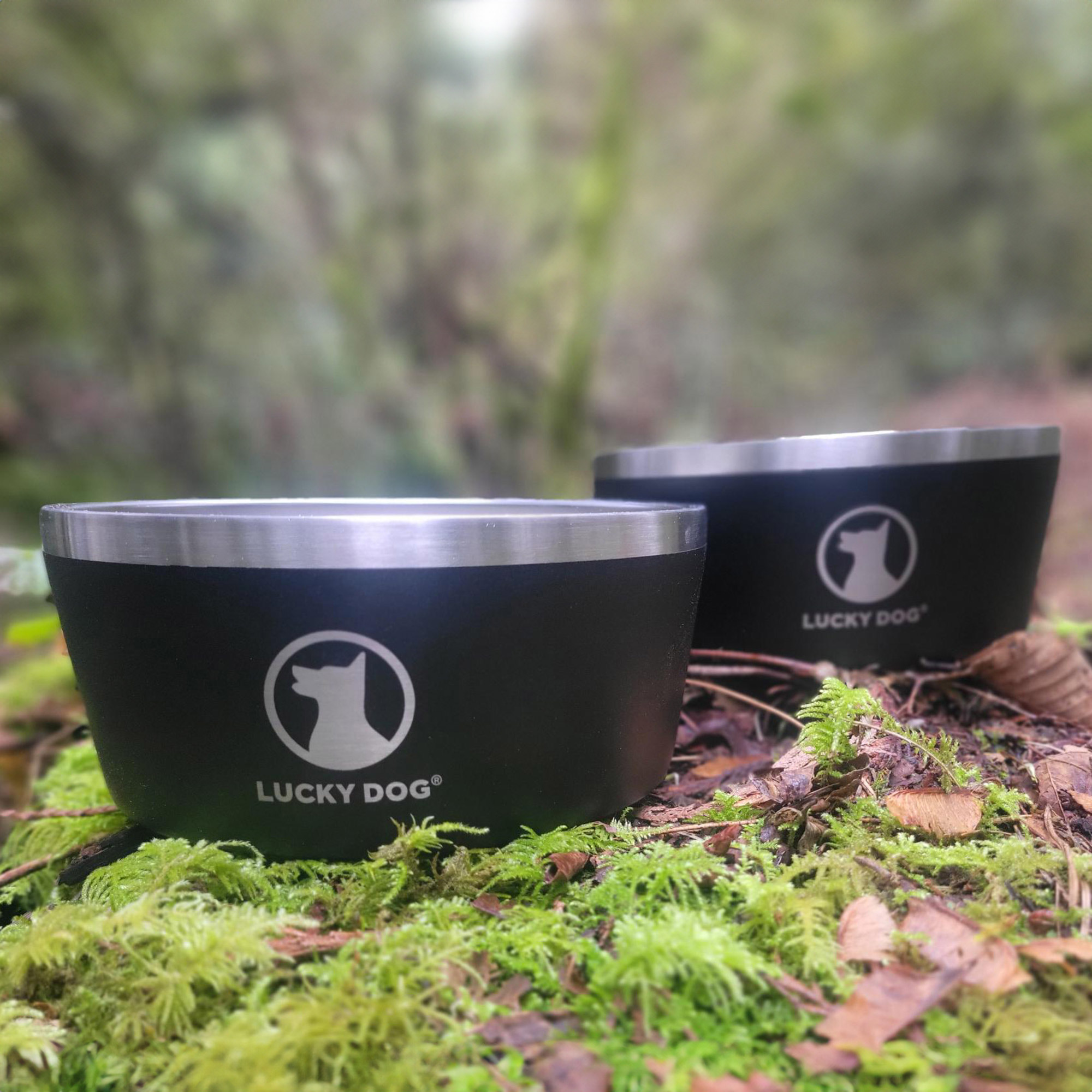 Lucky Dog Indulge 5  Double Wall 5 Cup Stainless Steel Dog Bowl  2-pack