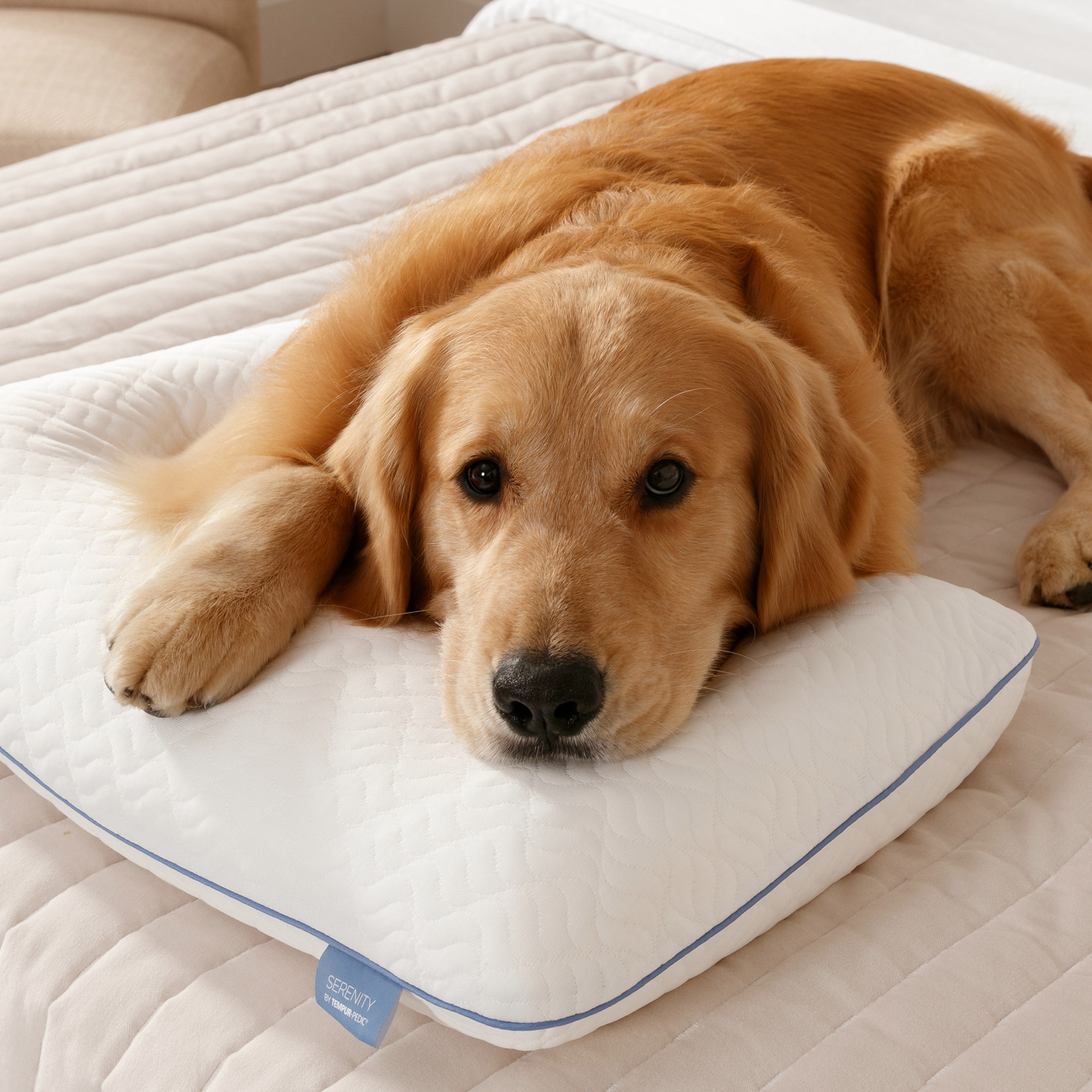 Enlarge Product Preview 7 Successfully Enriched by automation Job.