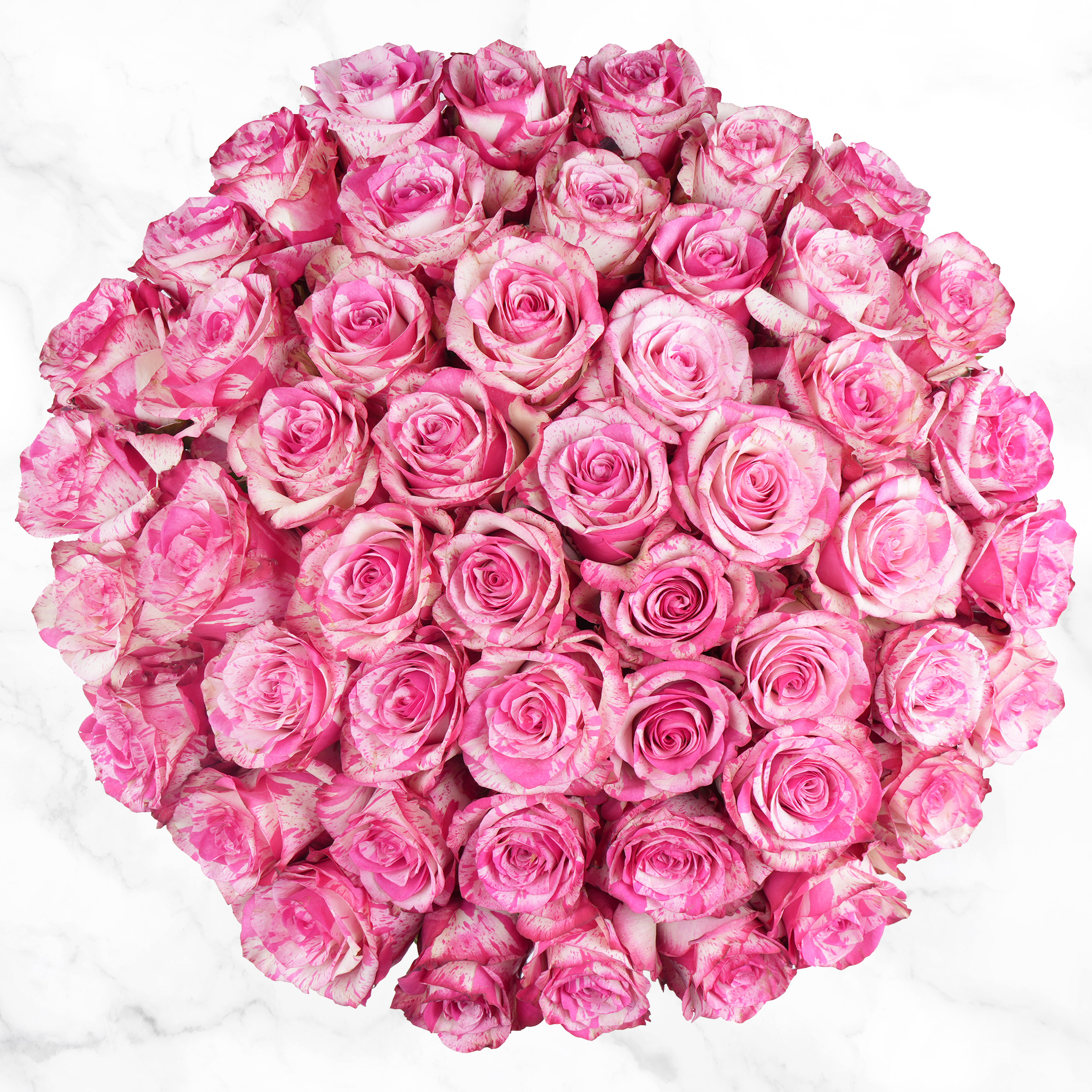 Pre-order Valentines Day Bi-color Pink and White Roses  50-stem