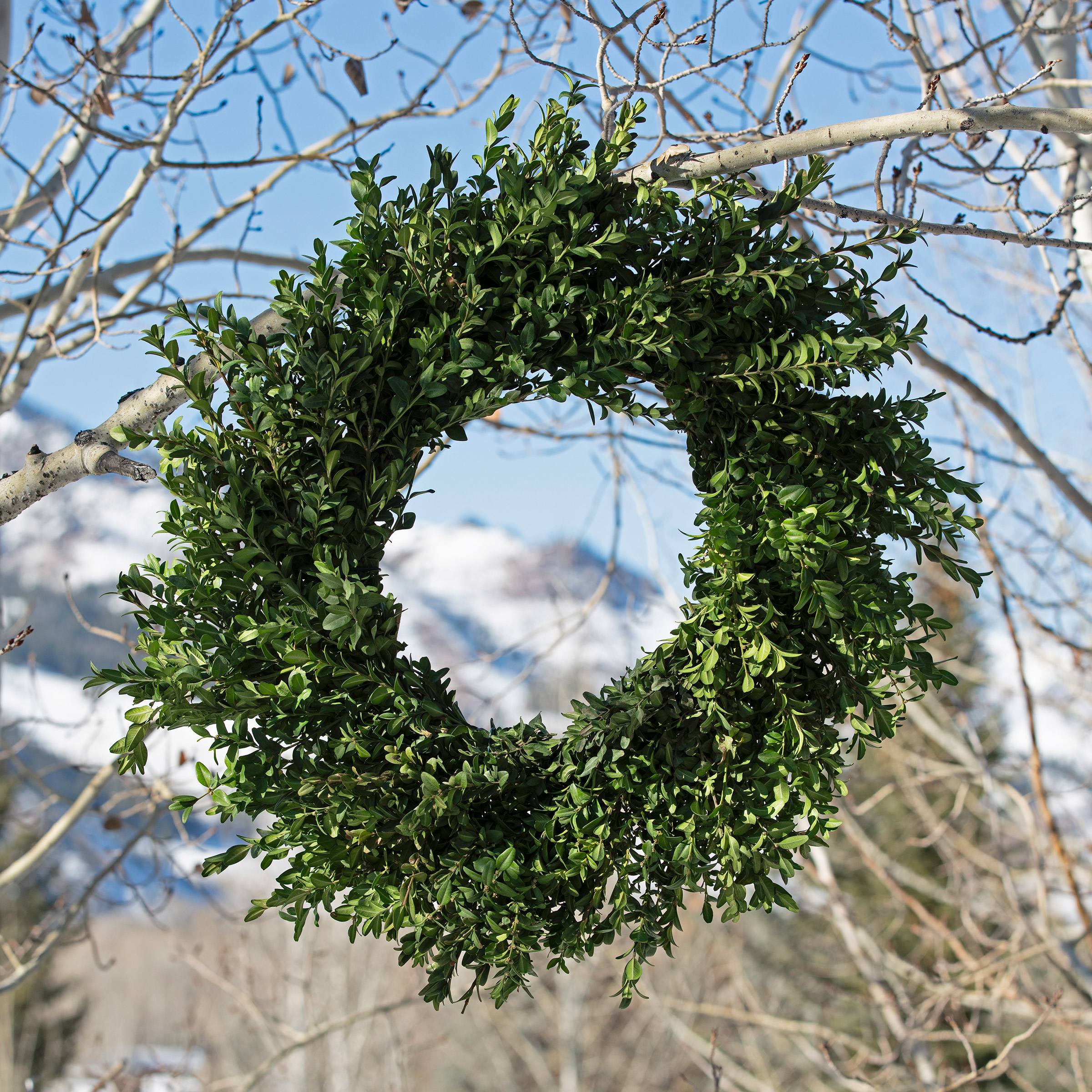 Enlarge Product Preview 3