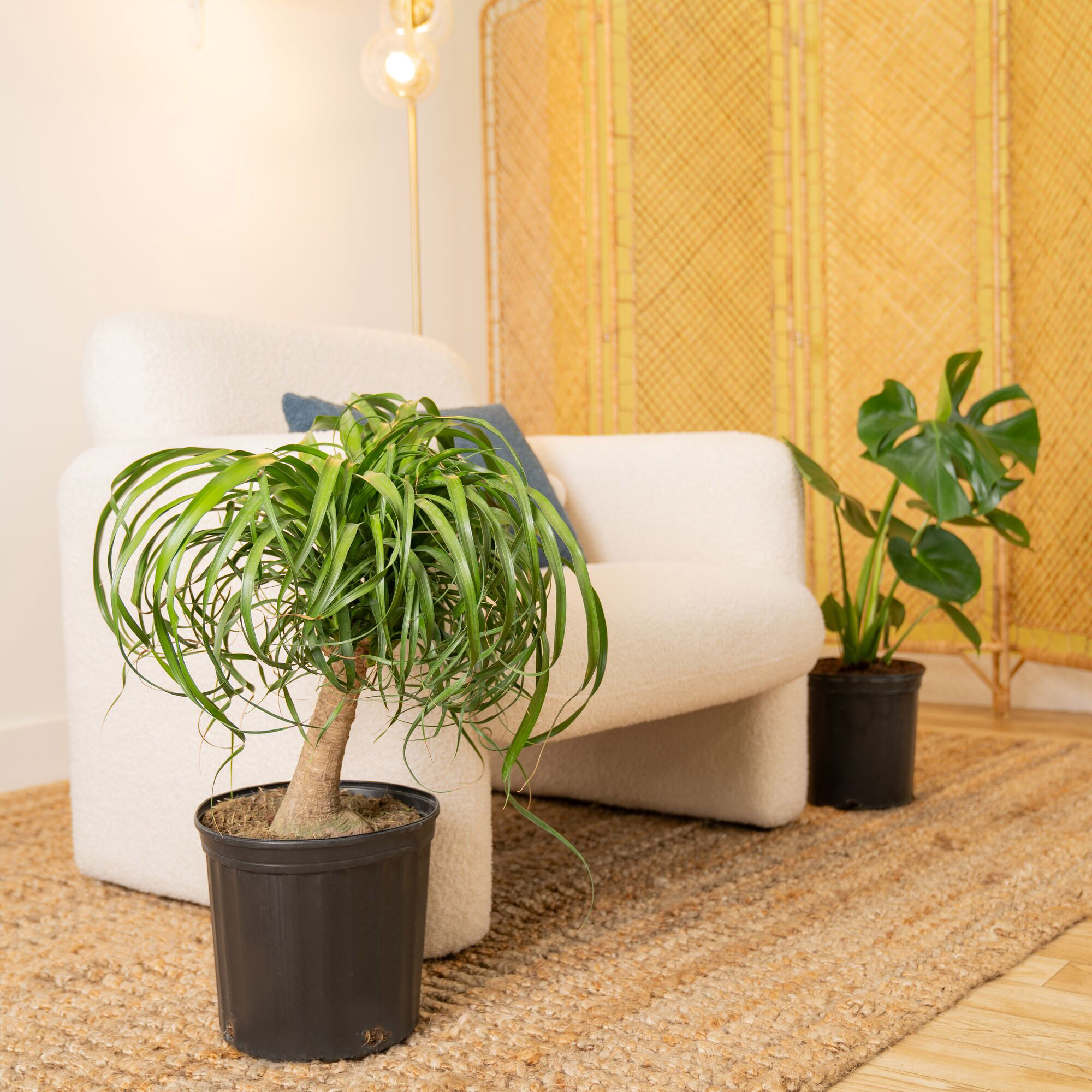 Enlarge Product Preview 5 Successfully Enriched by automation Job.