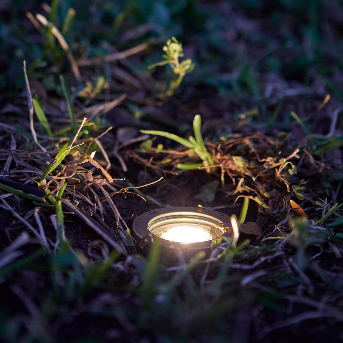 Enlarge Product Preview 6