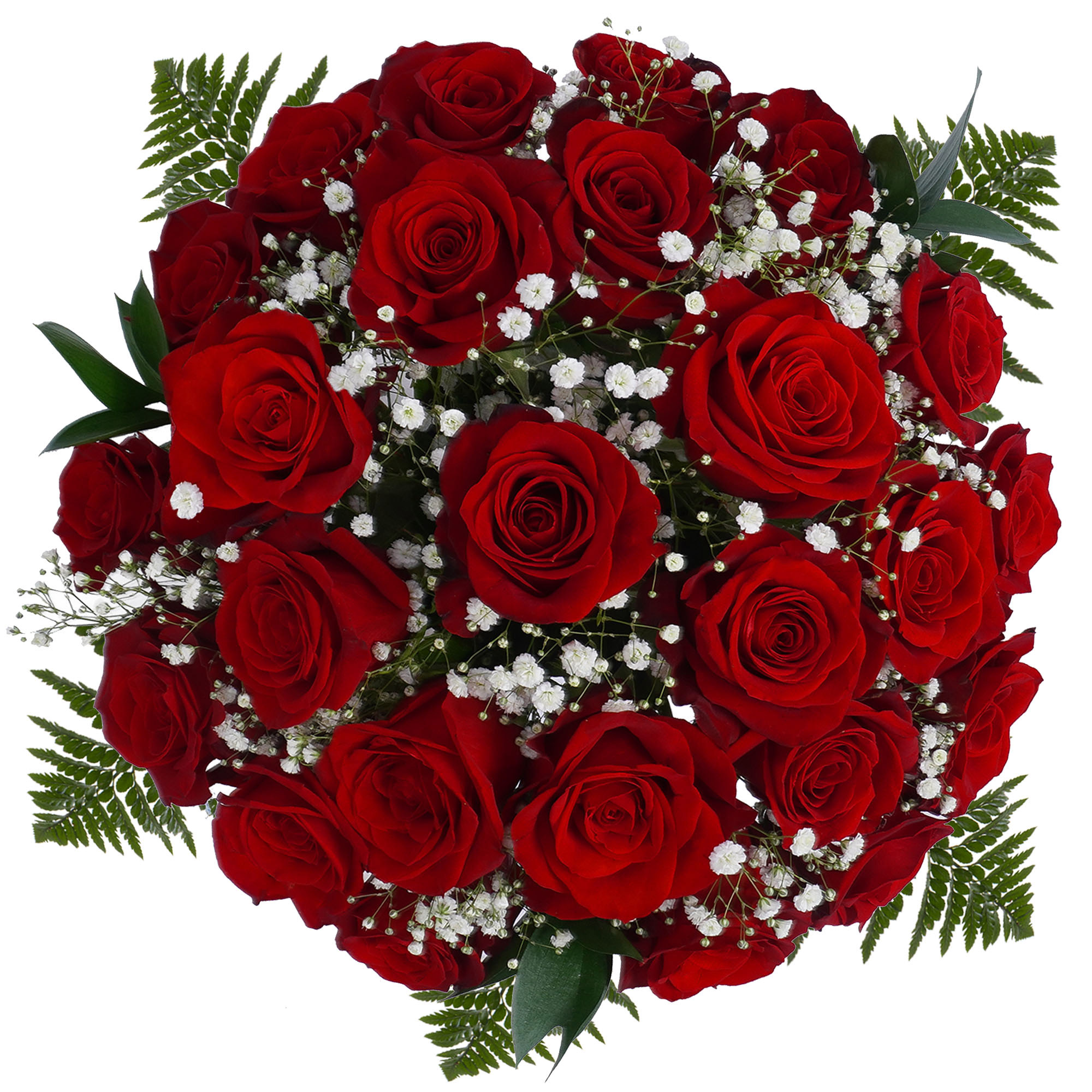 Be Mine 24 Red Roses Bouquet