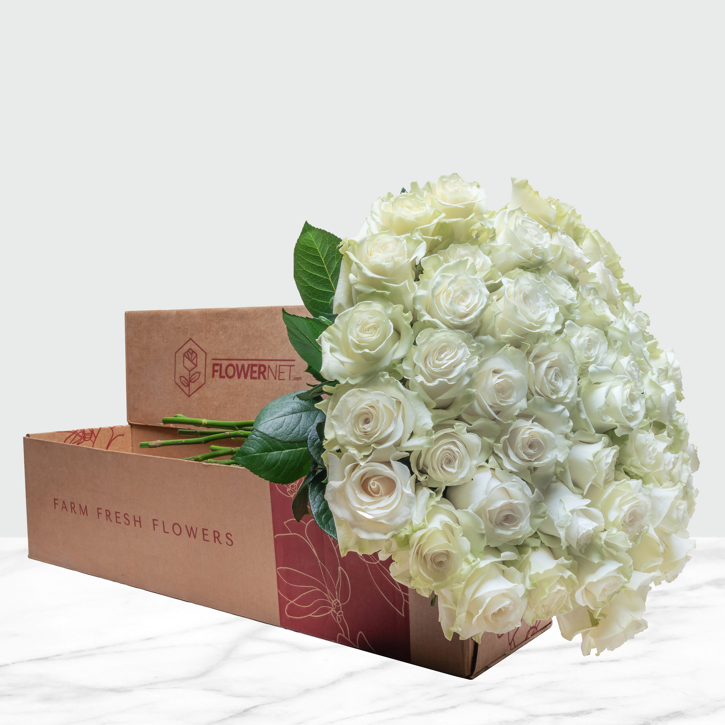 Enlarge Product Preview 3 Successfully Enriched by automation Job.