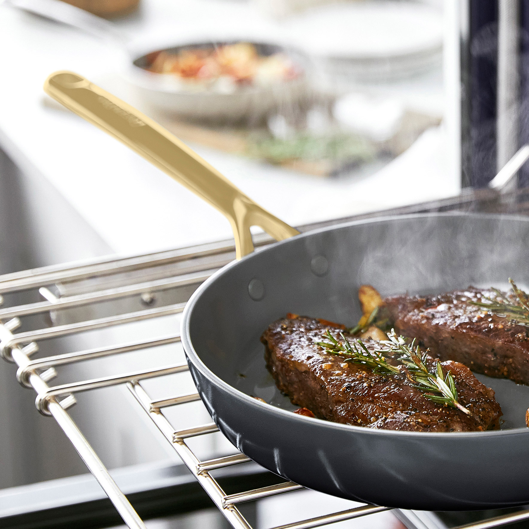 アクセサリー pan GreenPan GP5 Skillet Set with Gold Handles, 2-piece | Costco