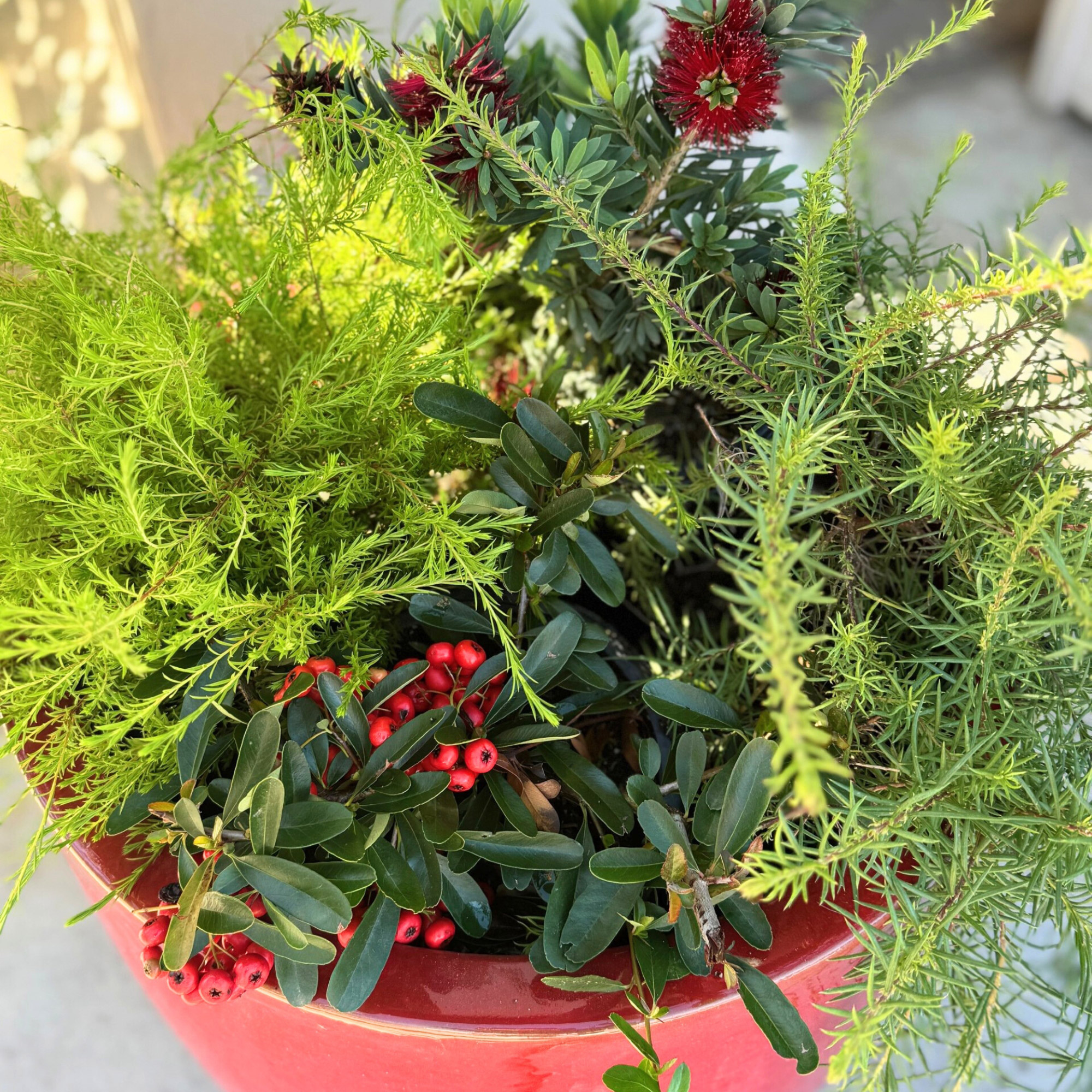 Enlarge Product Preview 2 Successfully Enriched by automation Job.