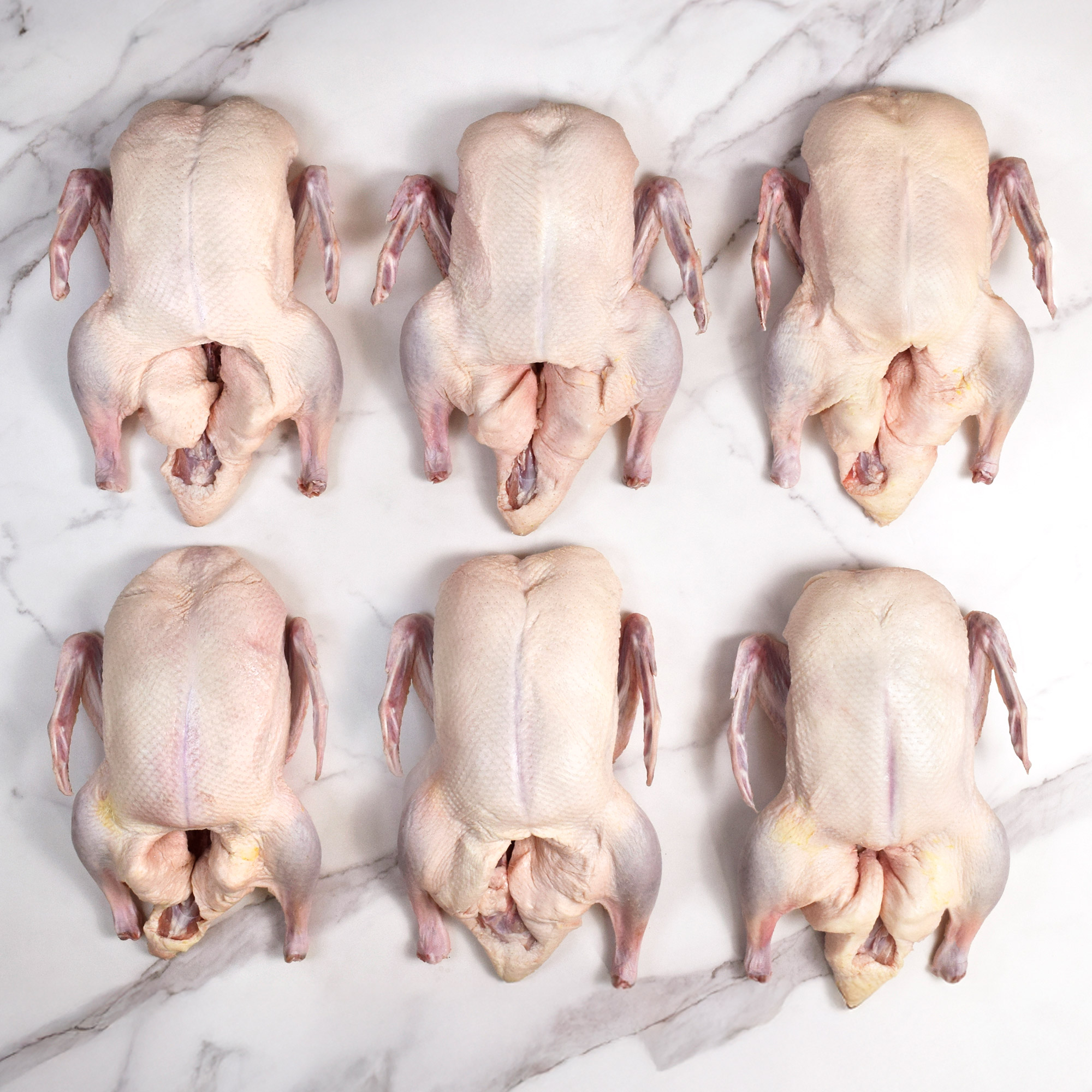 Enlarge Product Preview 5