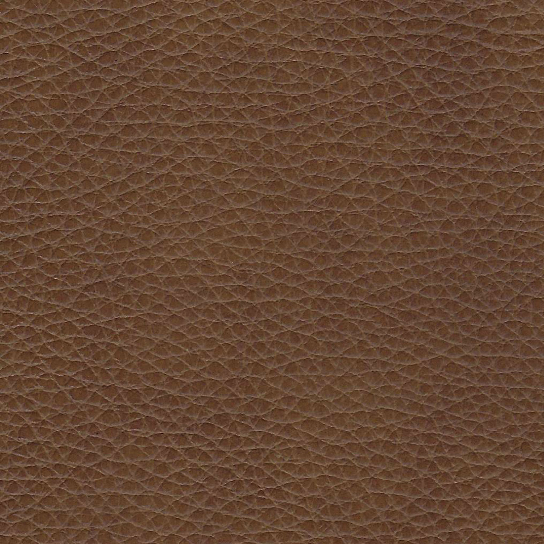 Enlarge Product Preview 7