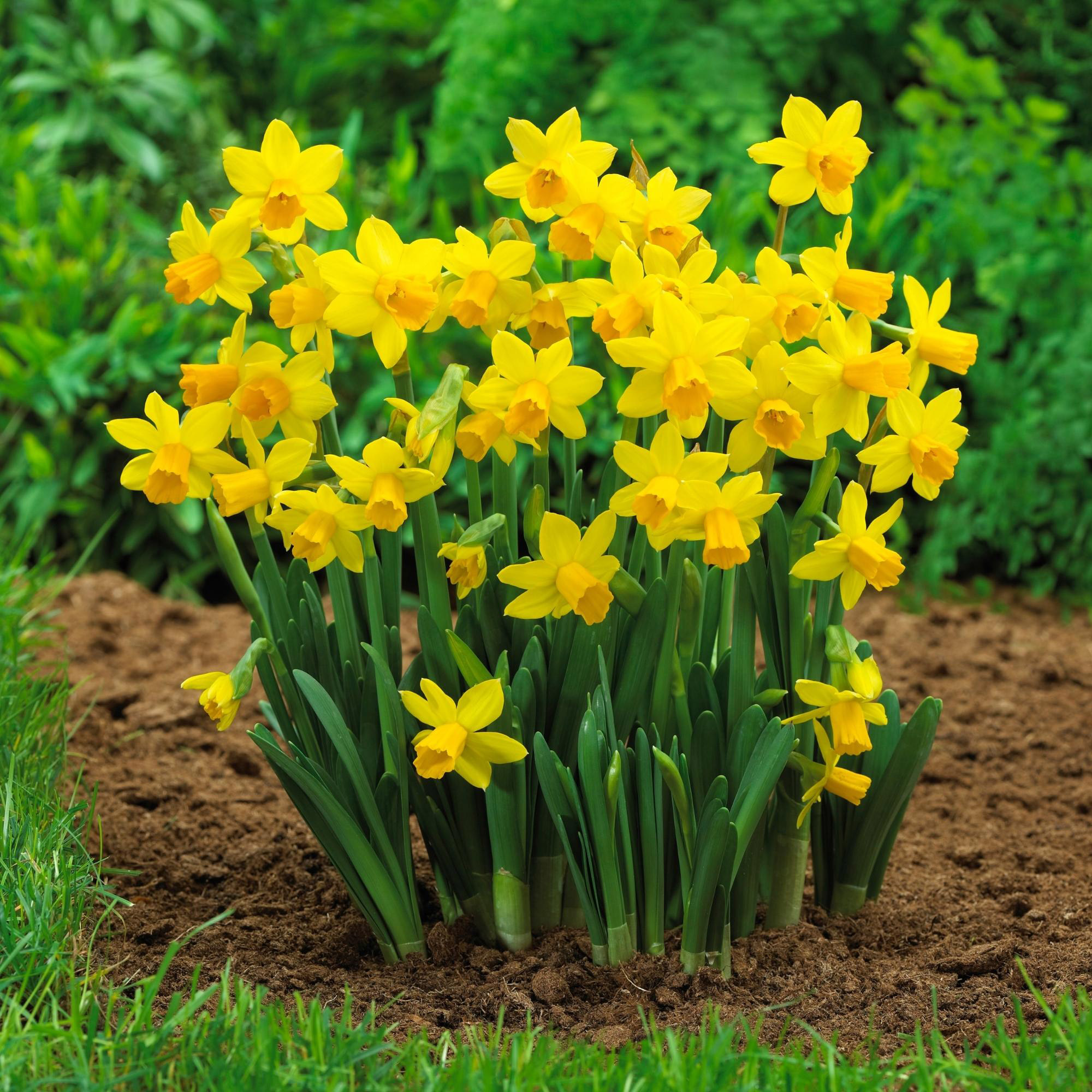 Enlarge Product Preview 7