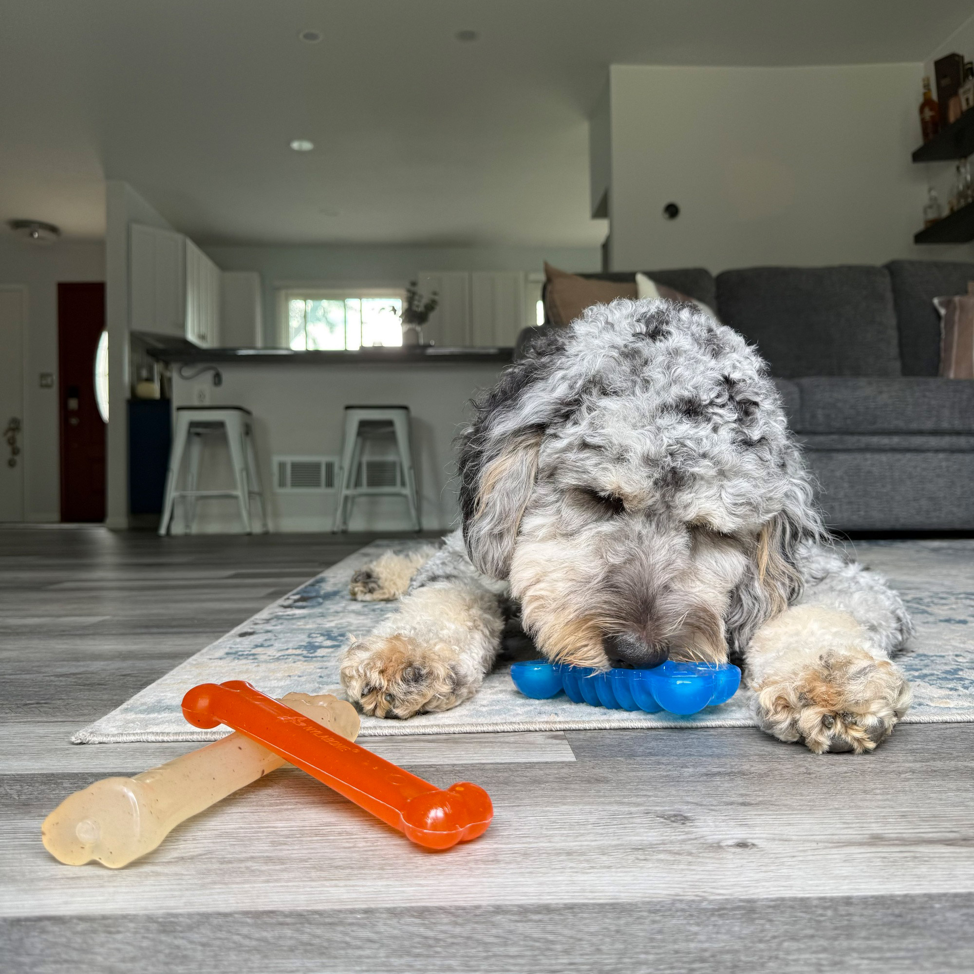 Enlarge Product Preview 4 Successfully Enriched by automation Job.