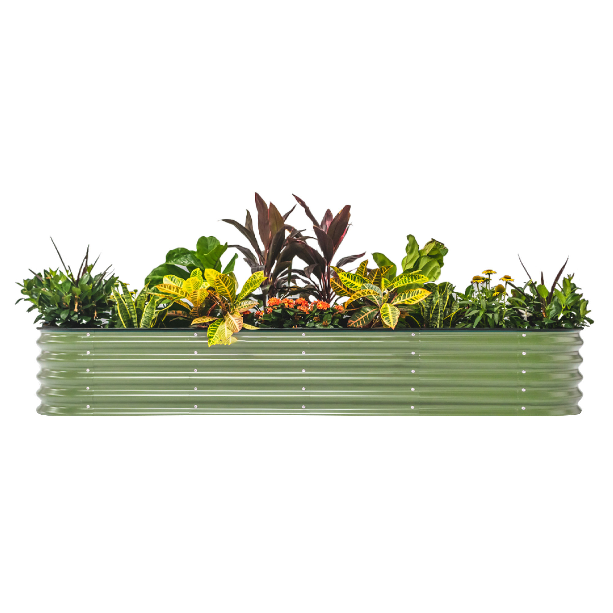 Enlarge Product Preview 2 Successfully Enriched by automation Job.