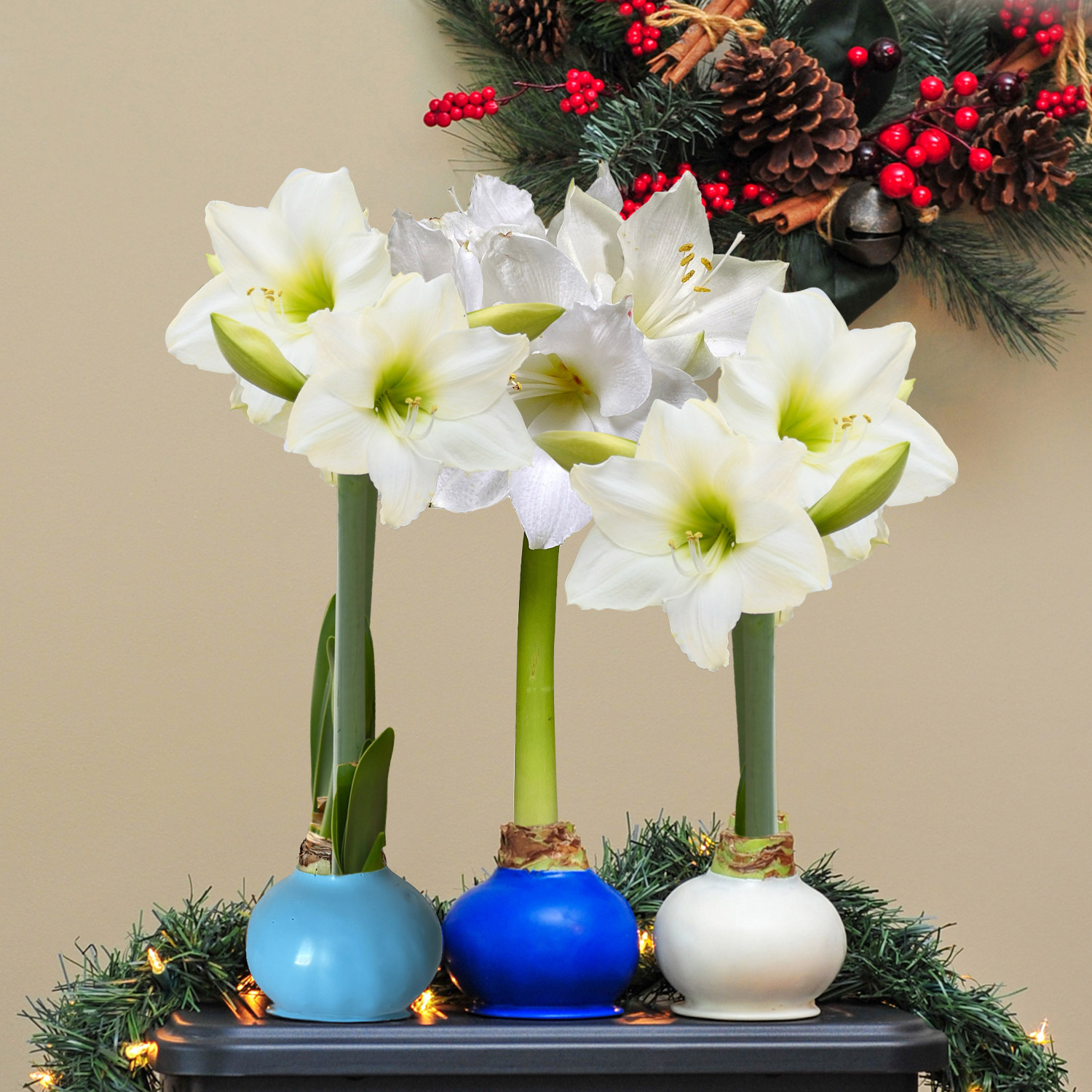 Enlarge Product Preview 5