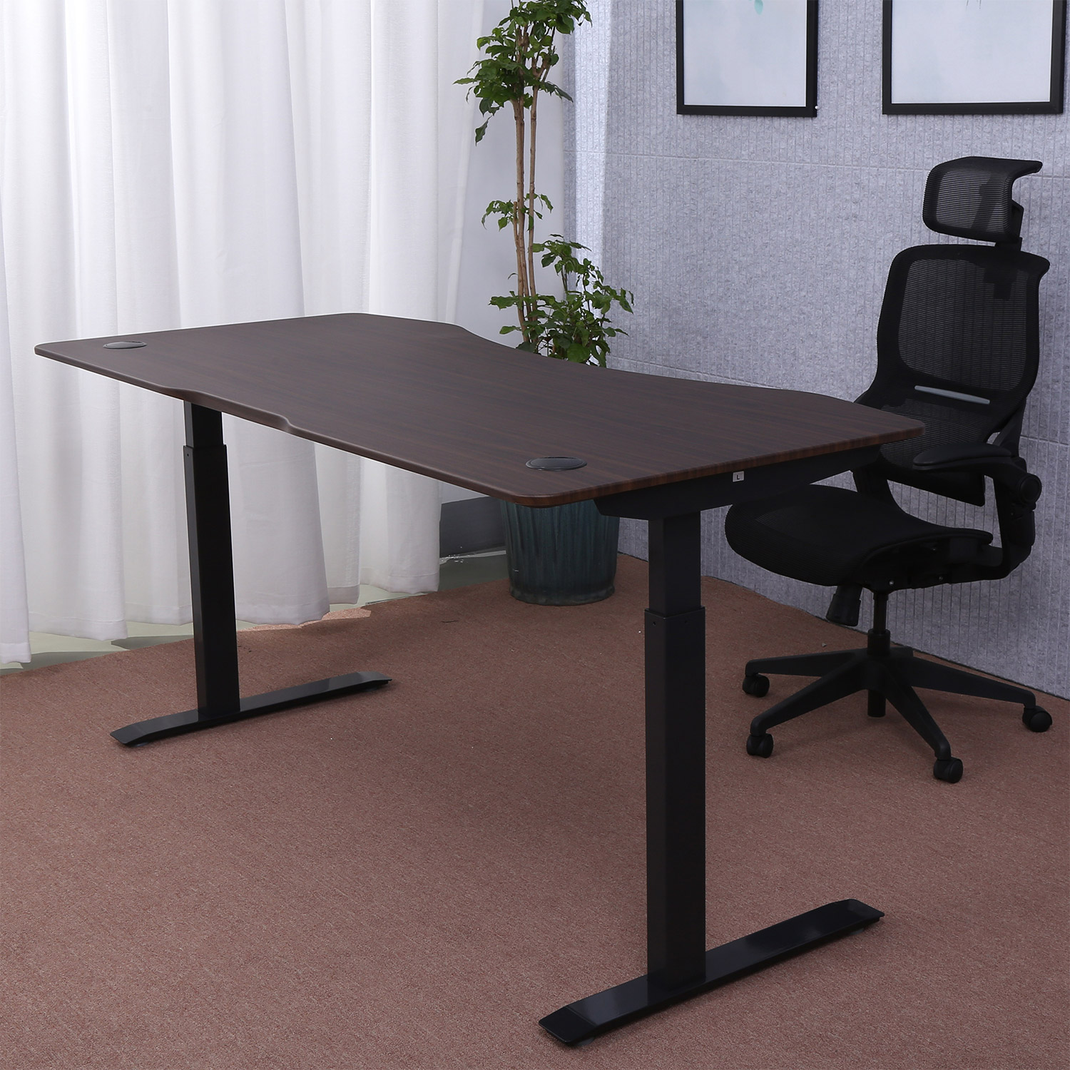 ApexDesk Elite Series 71” x 33” Height Adjustable Desk