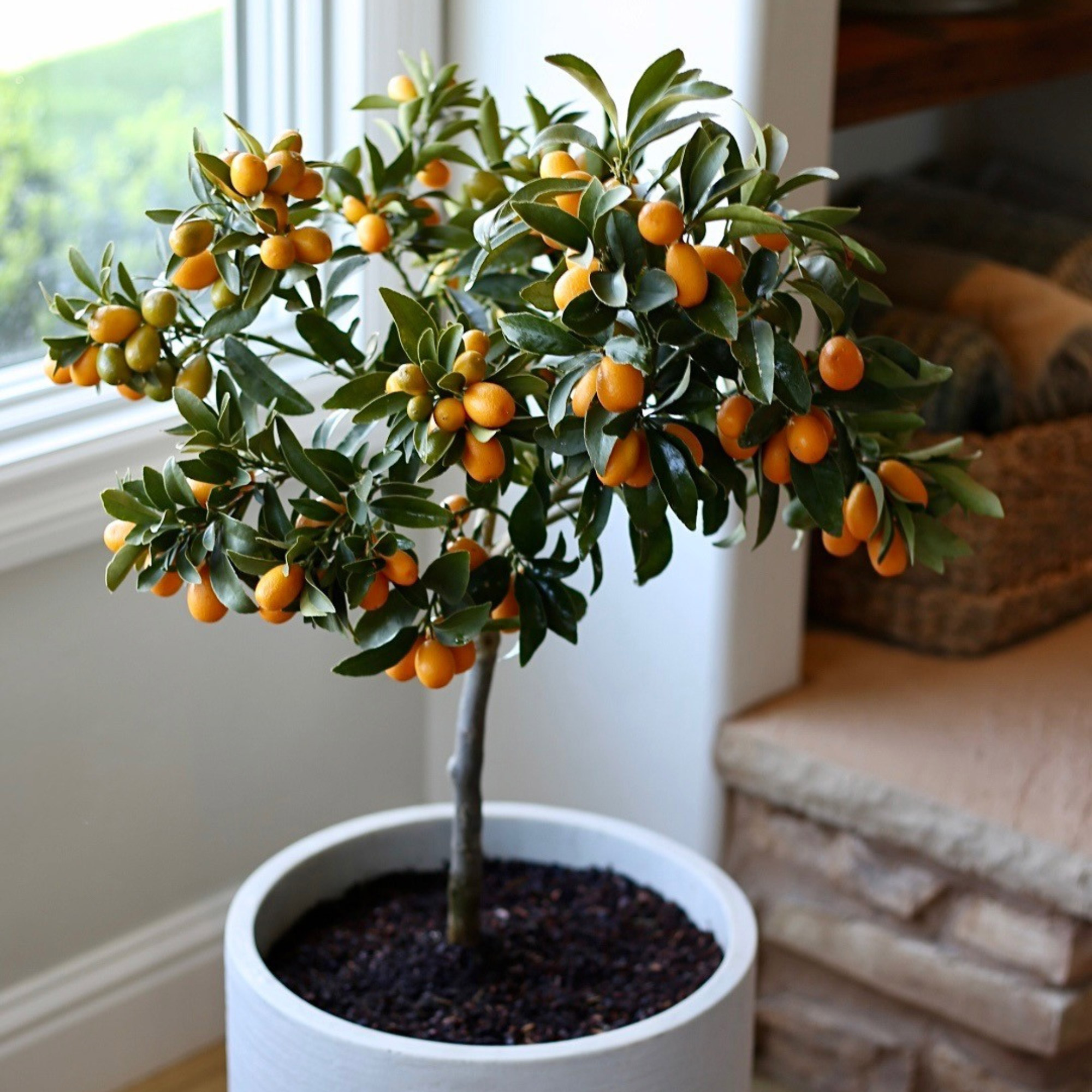 Enlarge Product Preview 5 Successfully Enriched by automation Job.