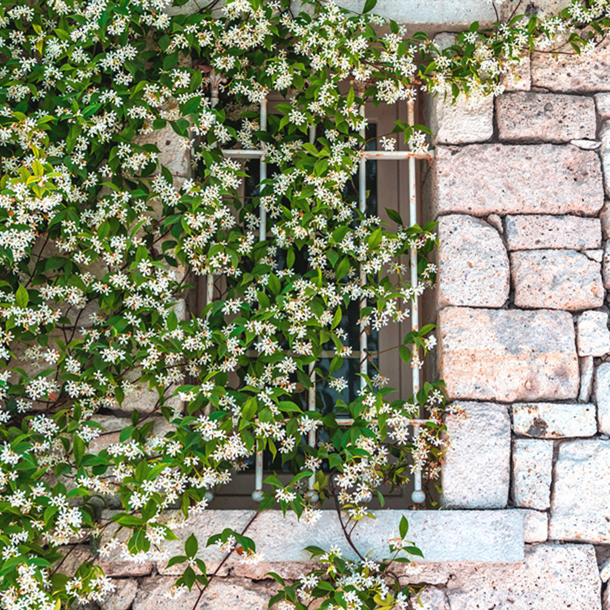 Enlarge Product Preview 7