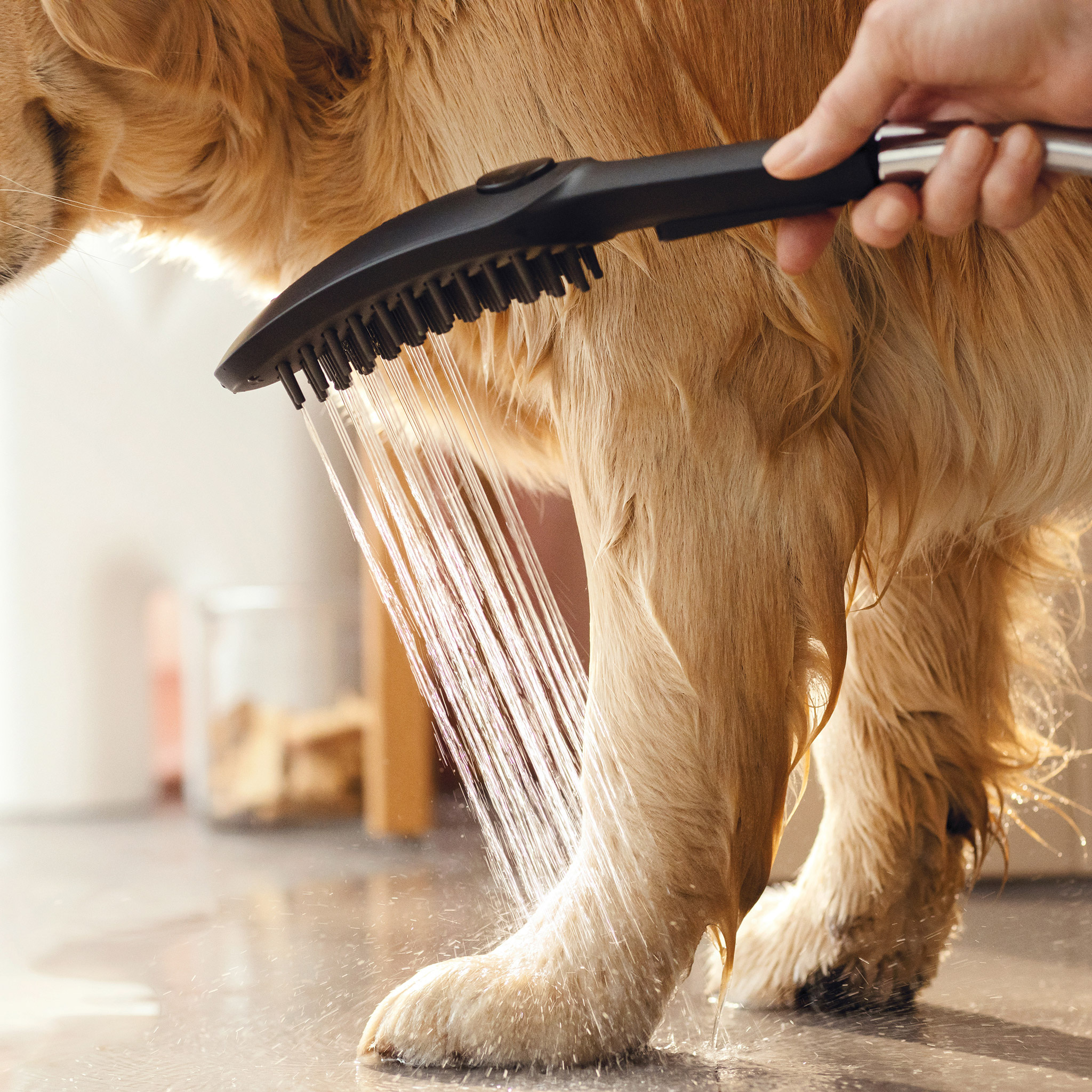 Enlarge Product Preview 6