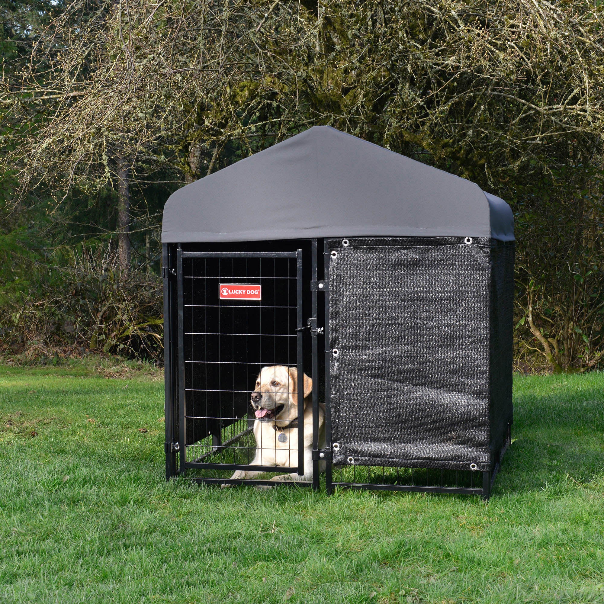 Lucky Dog STAY Series Studio Jr. Dog Kennel 4'x4' with Privacy