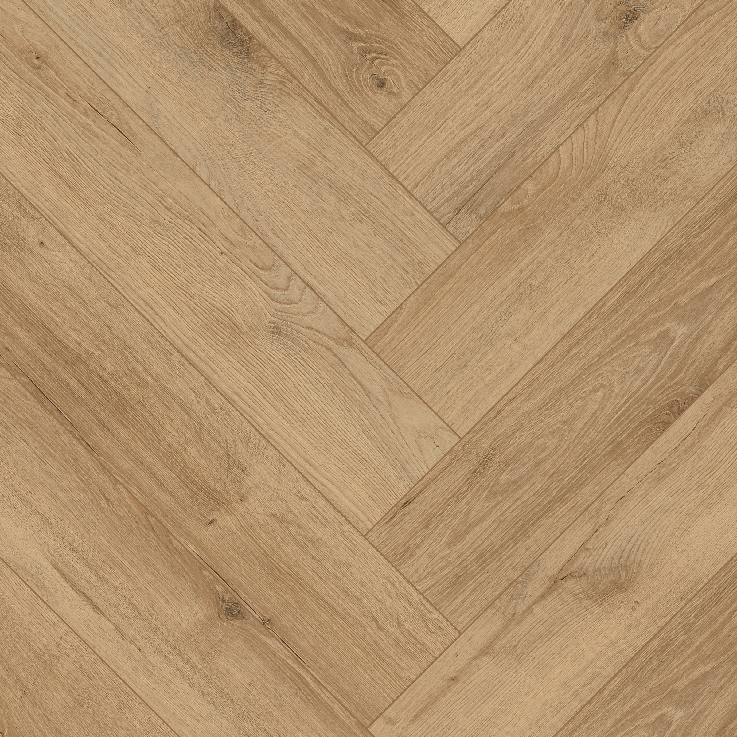 Enlarge Product Preview 6