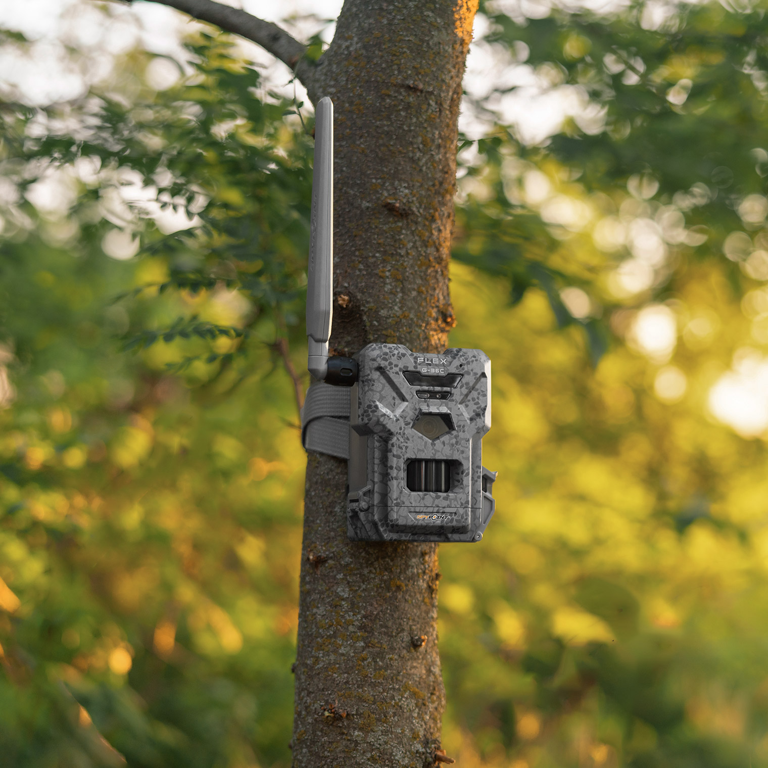 Enlarge Product Preview 6 Successfully Enriched by automation Job.