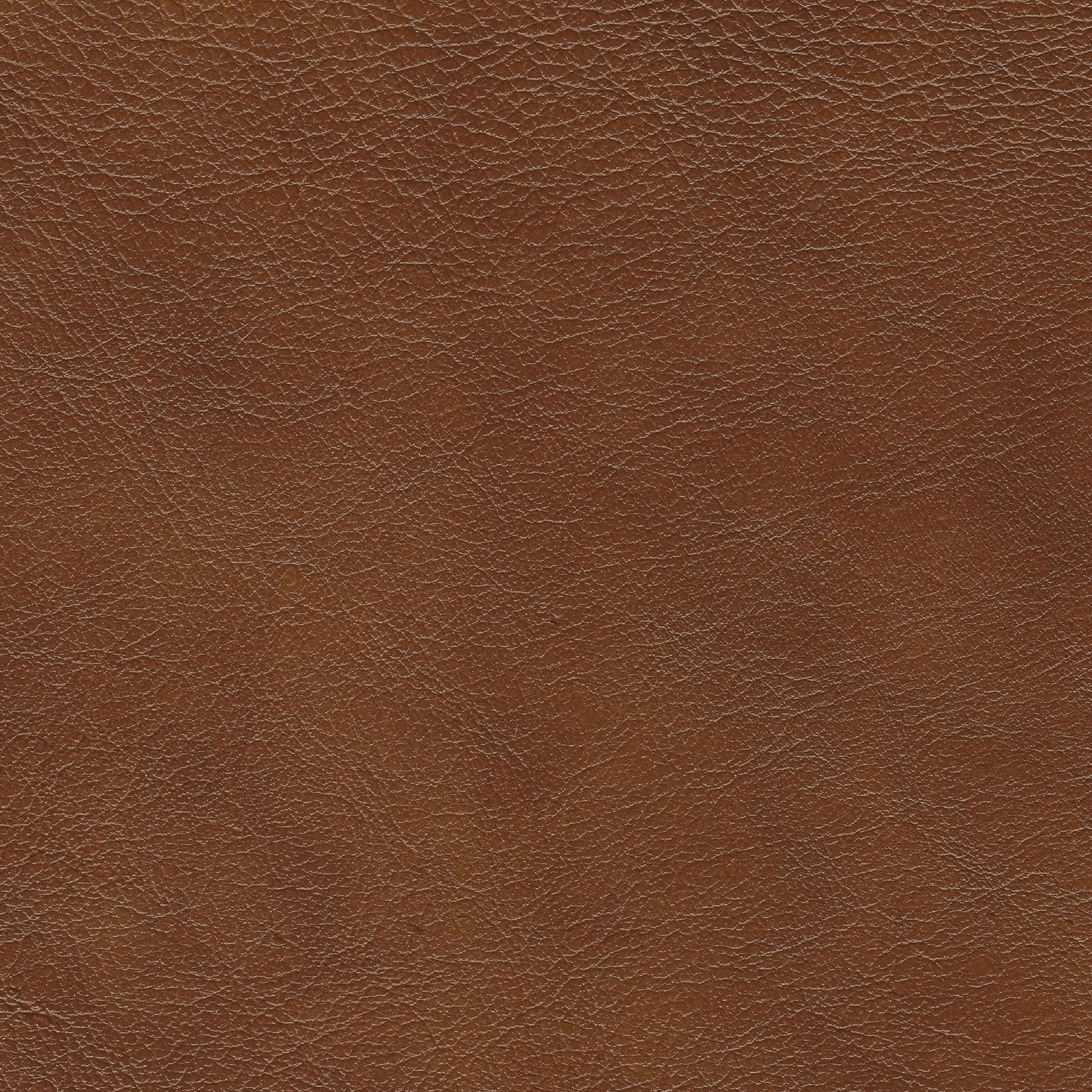 Enlarge Product Preview 8