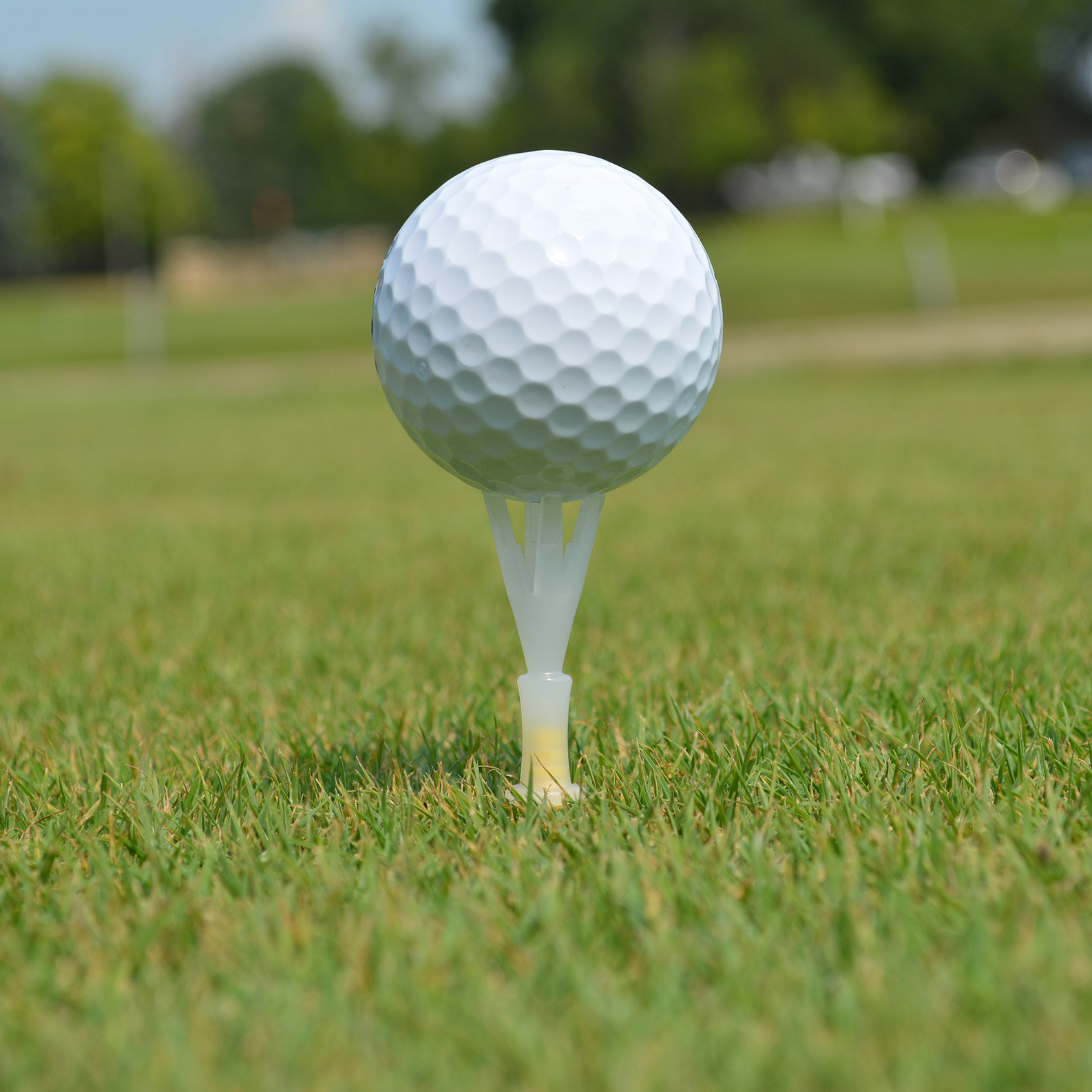 Enlarge Product Preview 2