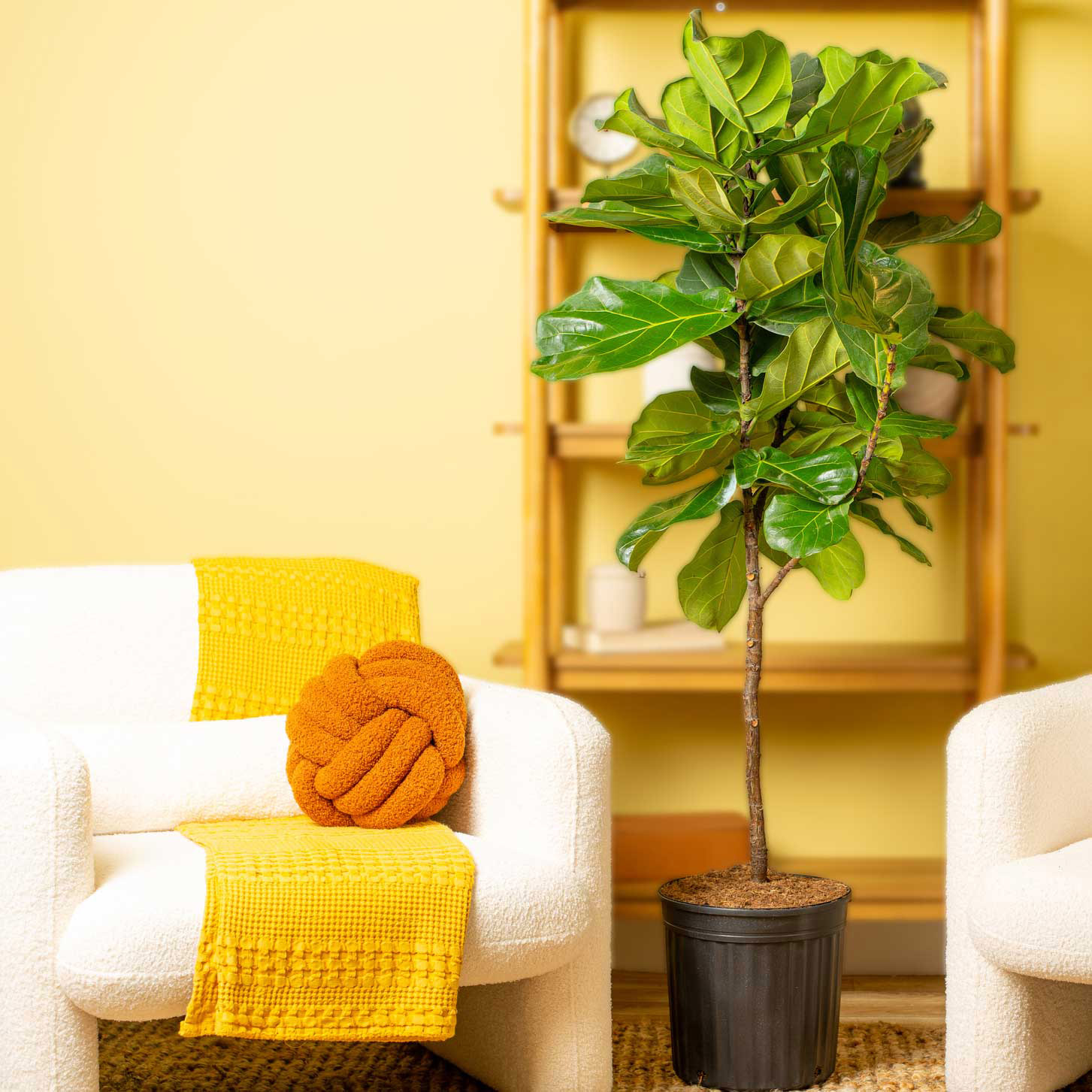 Enlarge Product Preview 2 Successfully Enriched by automation Job.