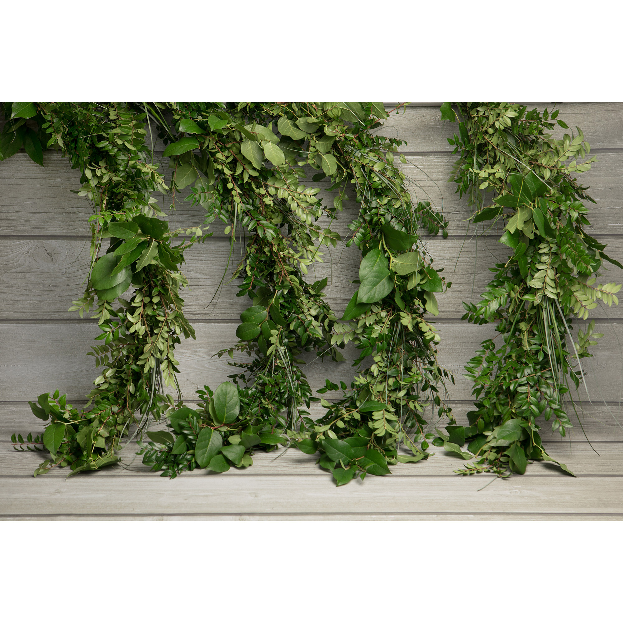 Enlarge Product Preview 4