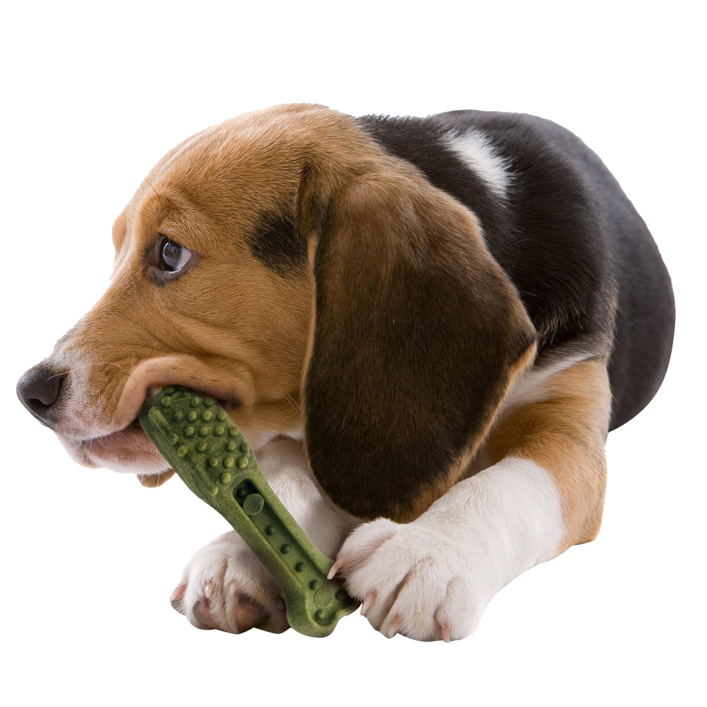 Enlarge Product Preview 7
