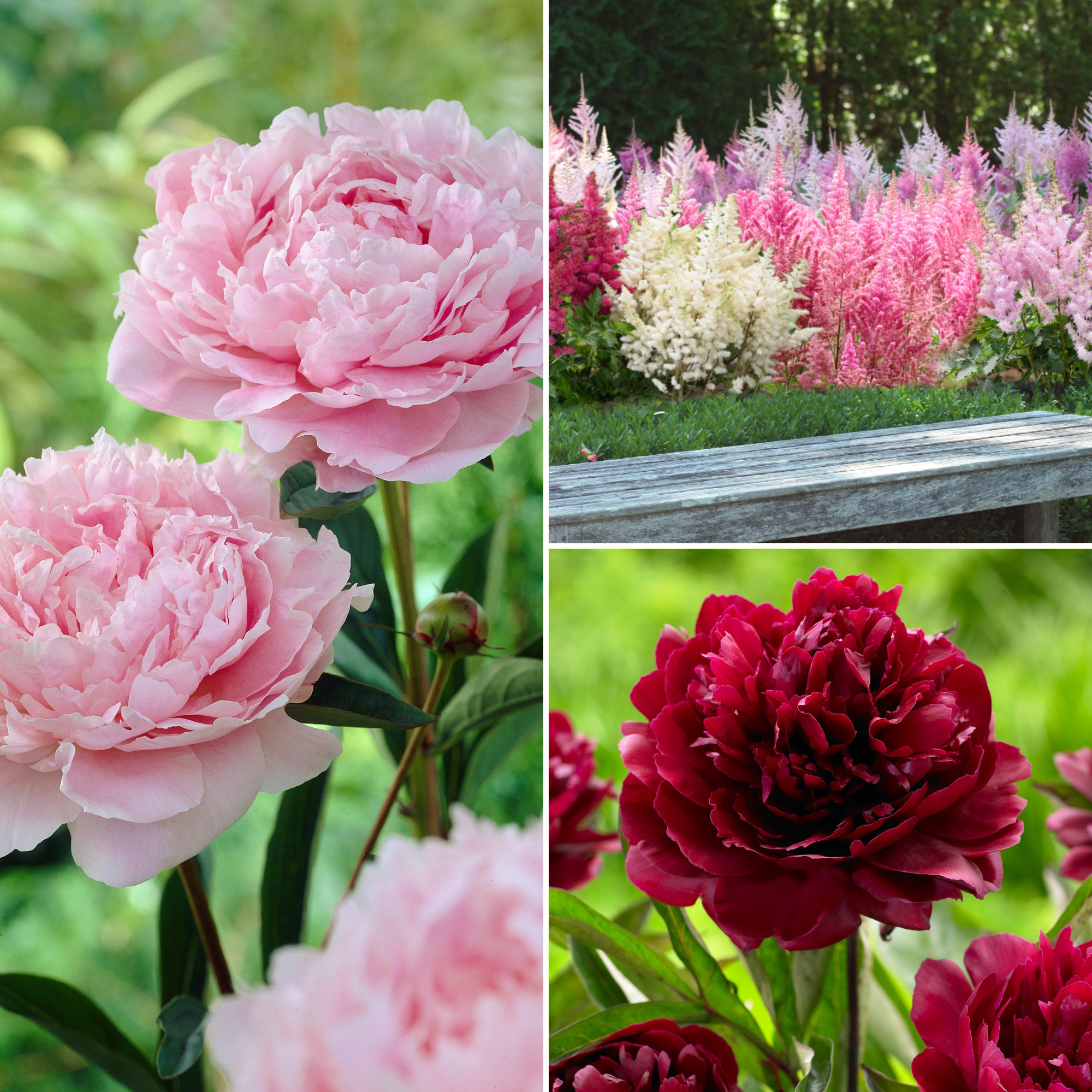 Enlarge Product Preview 26