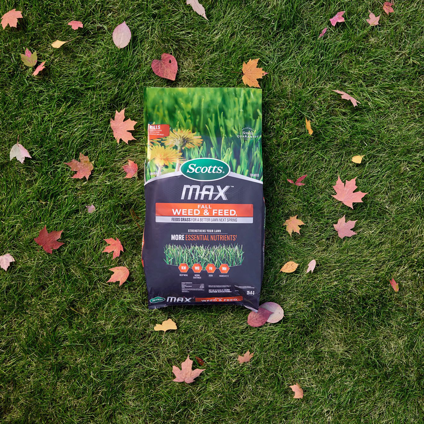 Enlarge Product Preview 3 Successfully Enriched by automation Job.