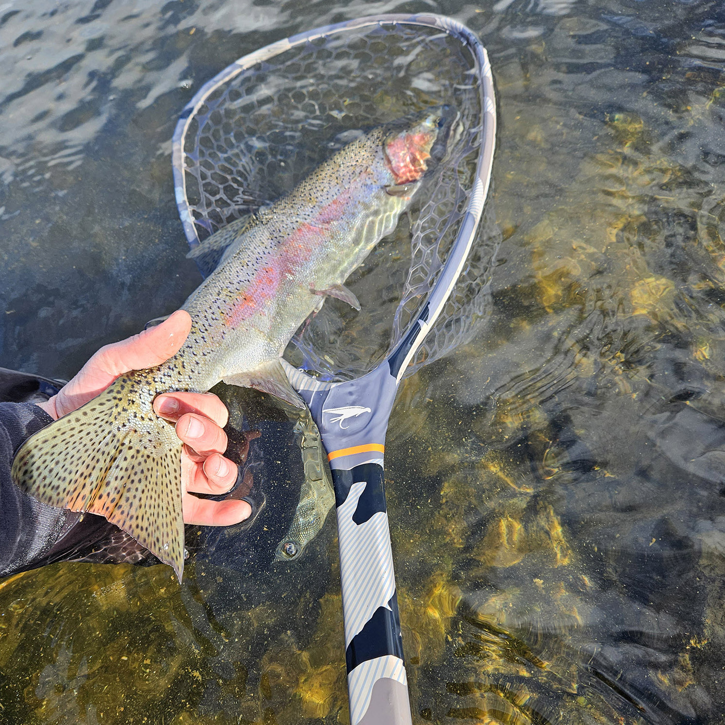 Enlarge Product Preview 5 Successfully Enriched by automation Job.